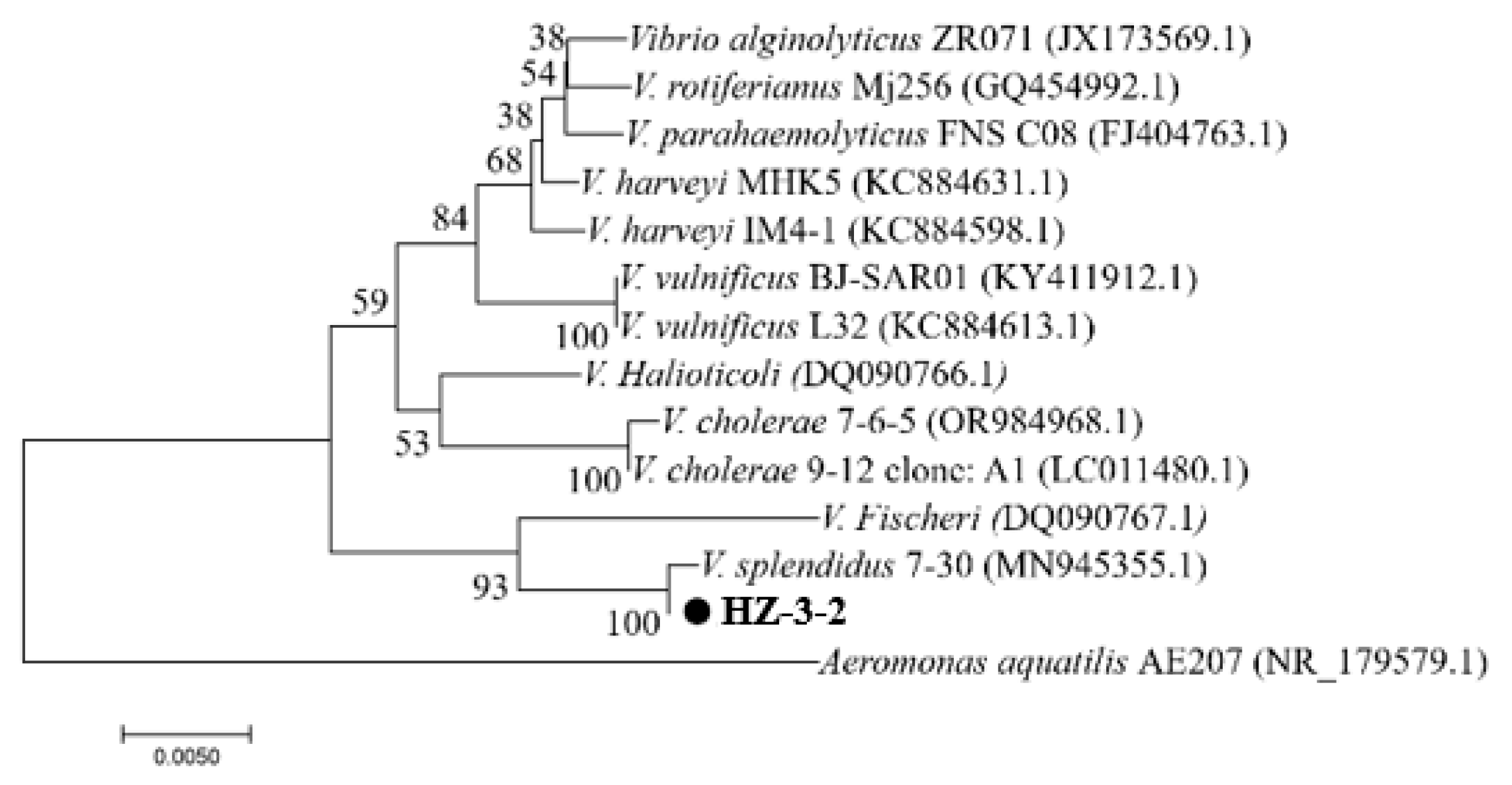 Microorganisms 13 02019 g001