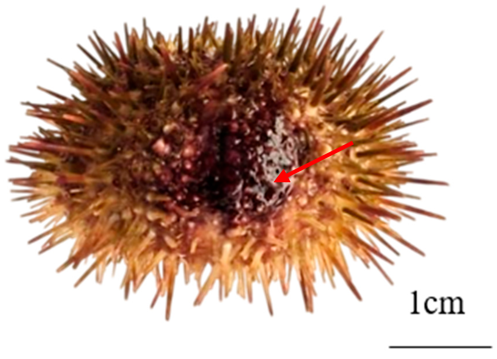 Microorganisms 13 02019 g003