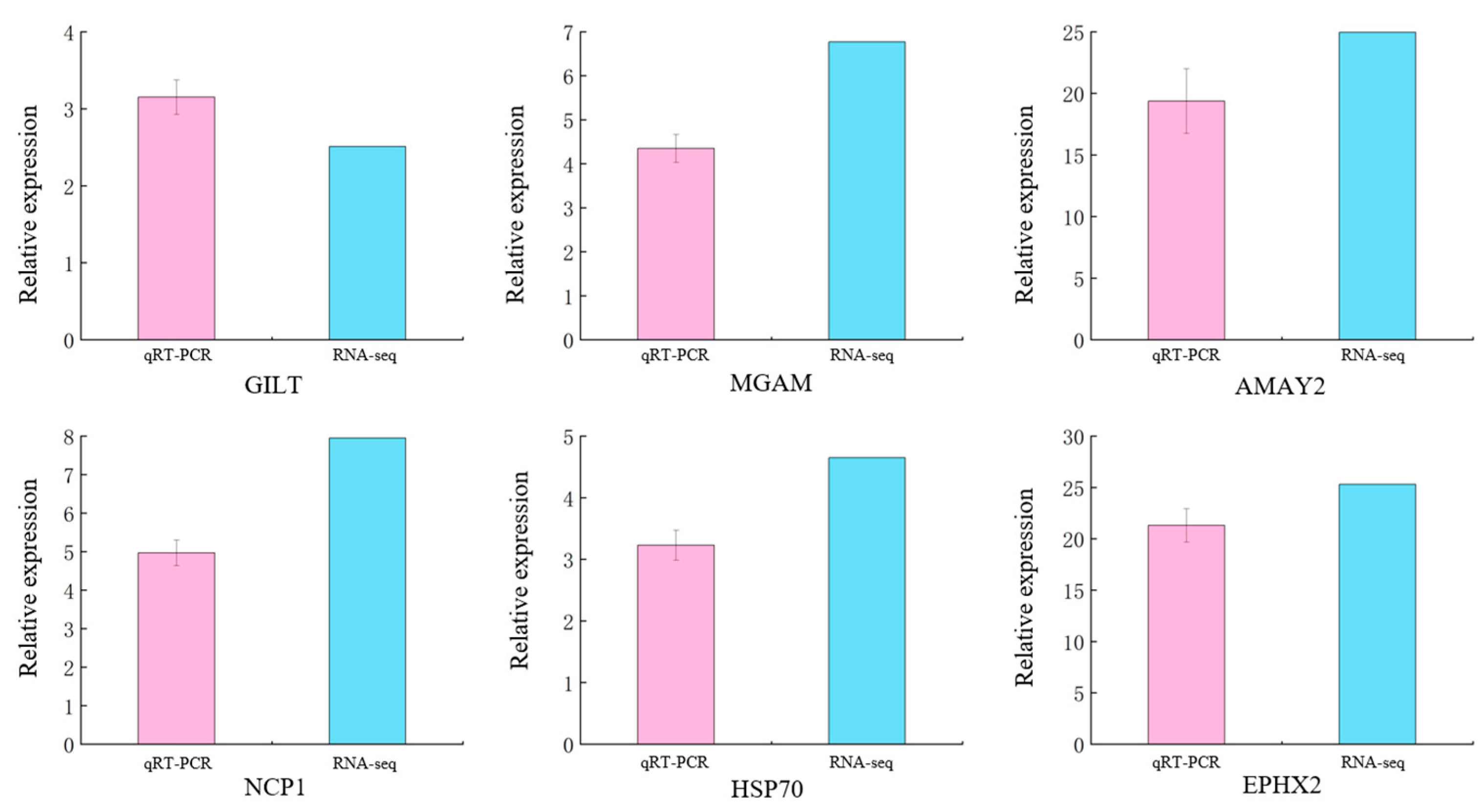 Microorganisms 13 02019 g009