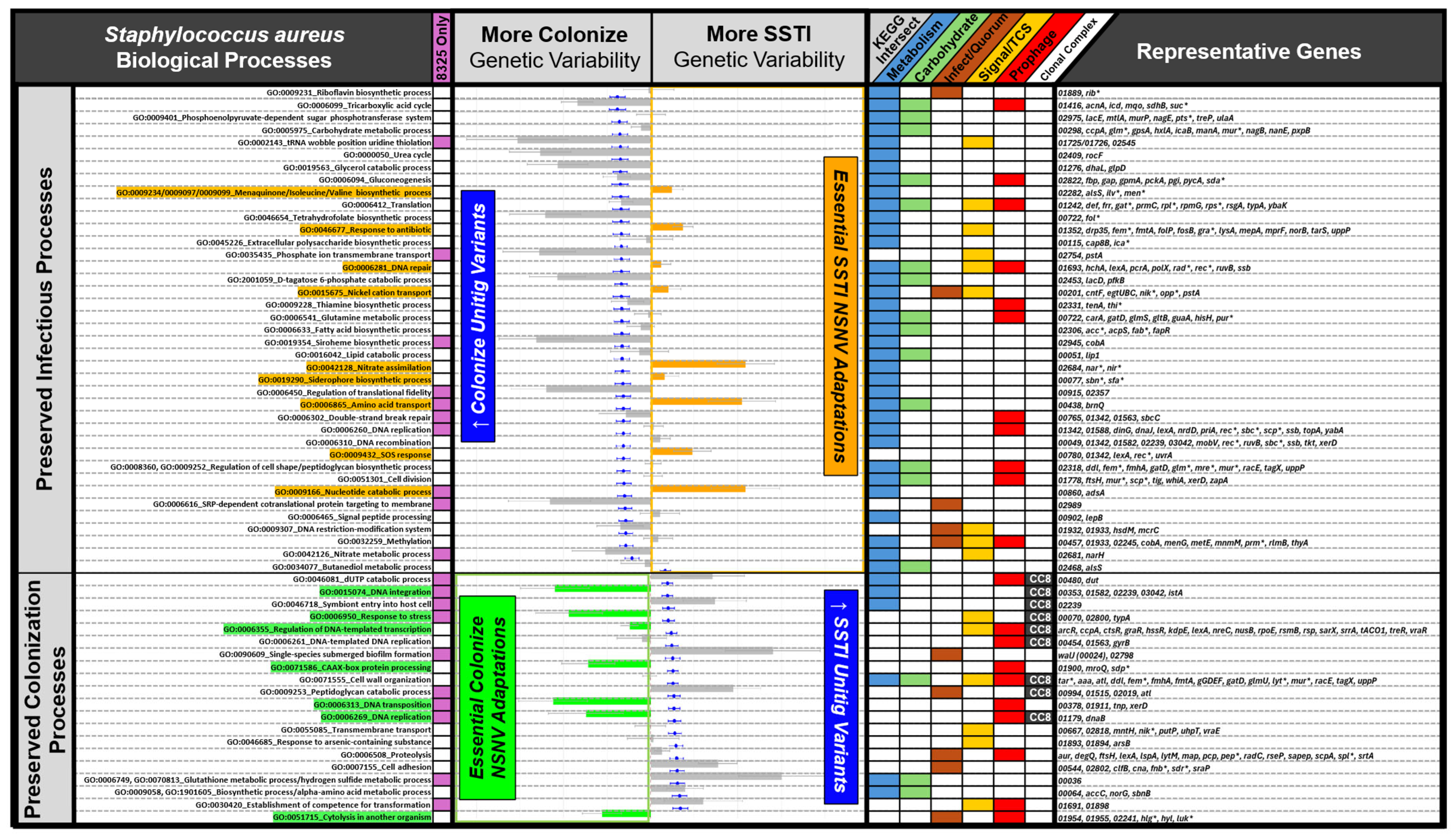 Microorganisms 13 02023 g004