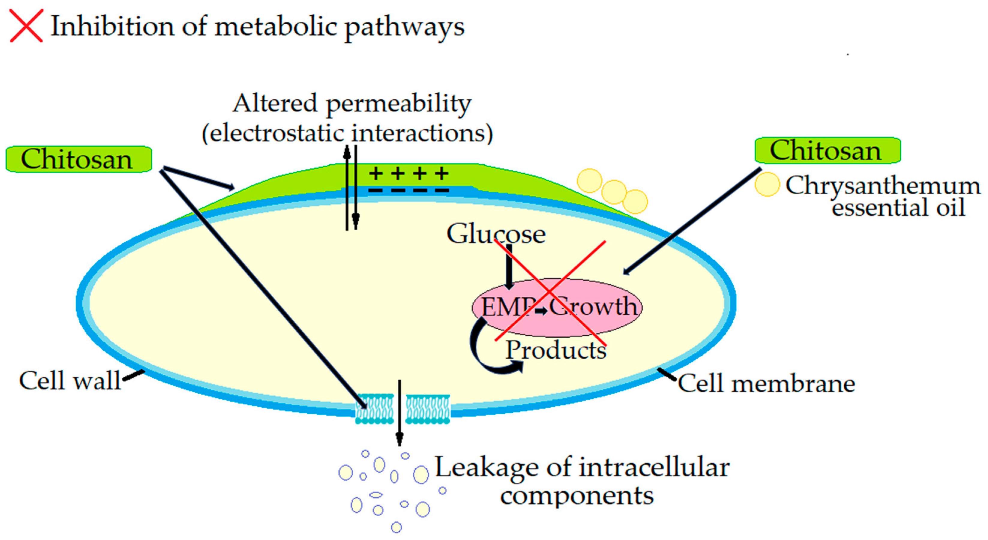 Microorganisms 13 02036 g001 Microorganisms 13 02036 g001