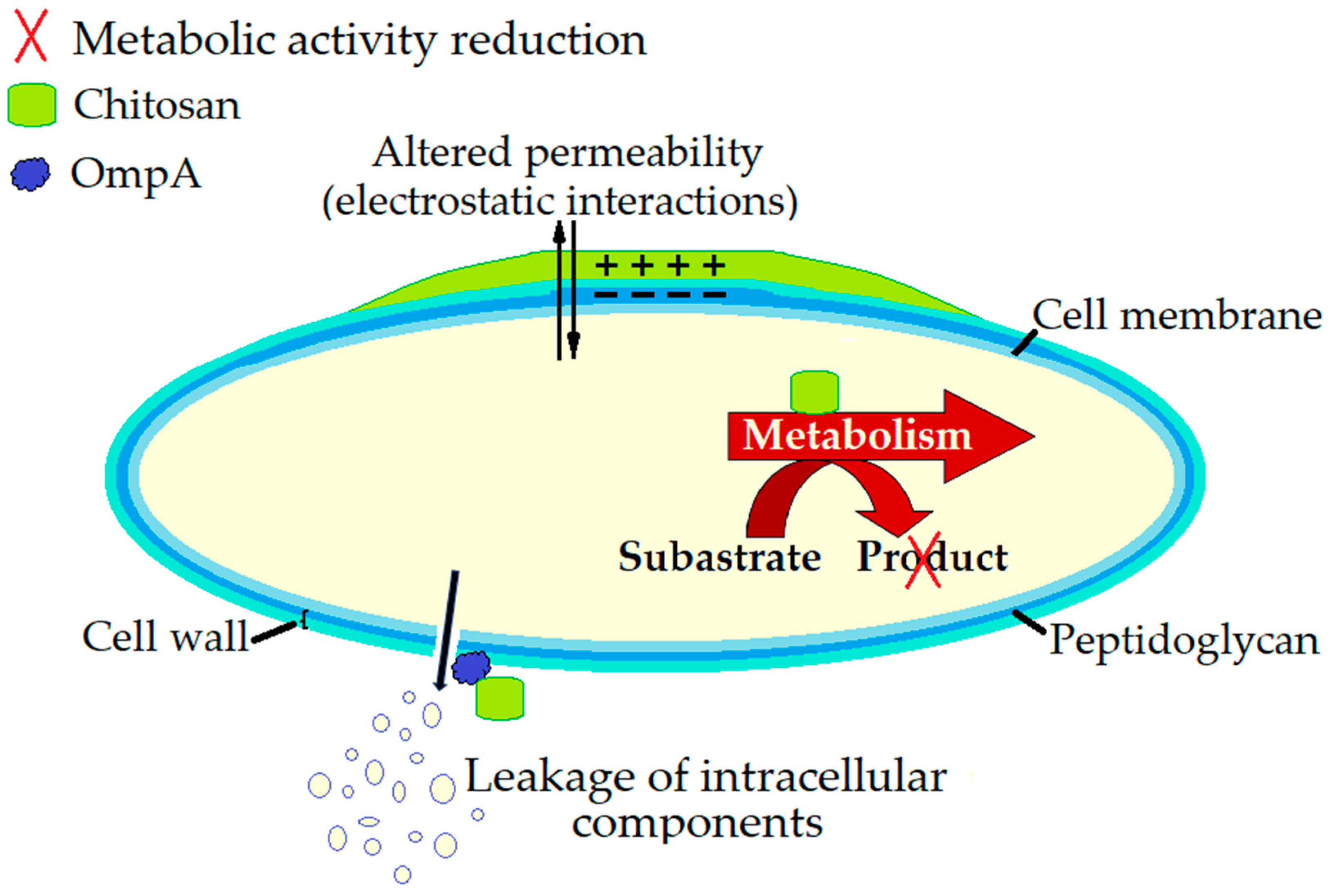 Microorganisms 13 02036 g003 Microorganisms 13 02036 g003