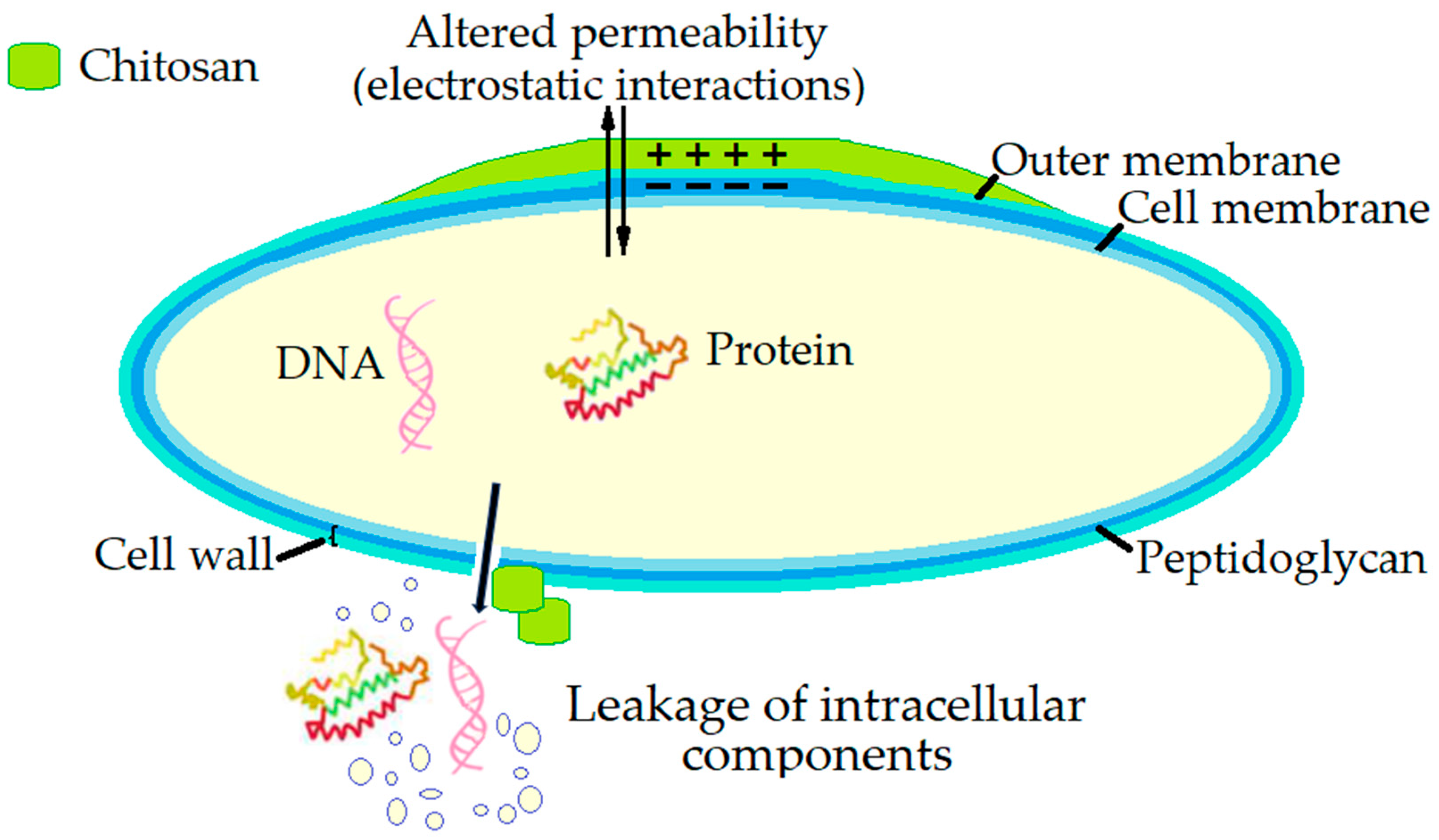 Microorganisms 13 02036 g004 Microorganisms 13 02036 g004