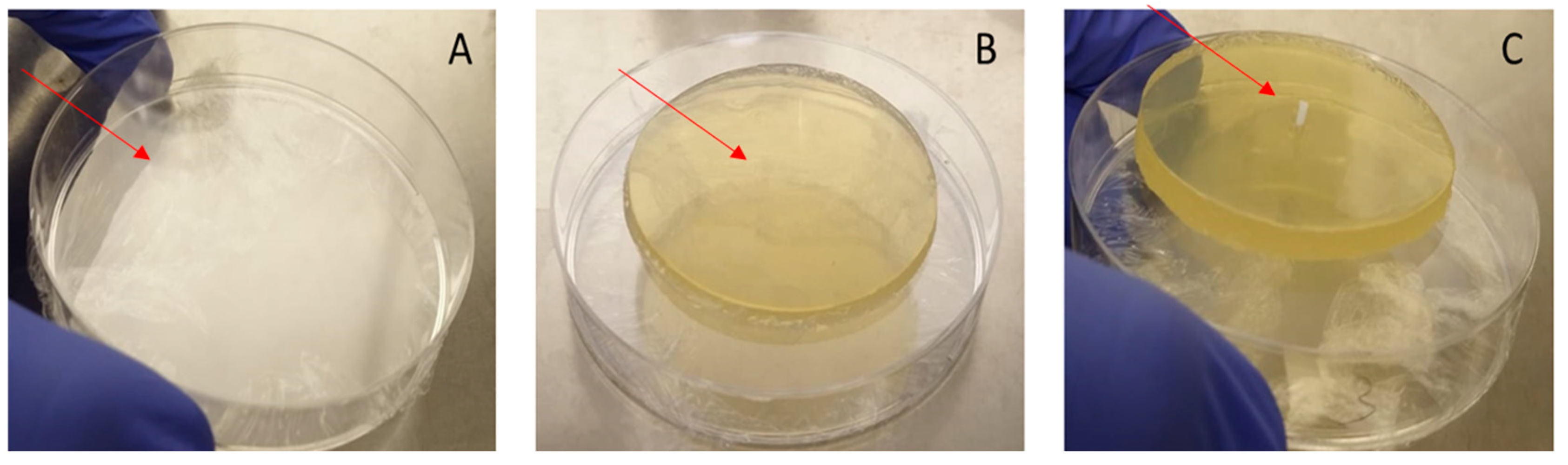 Microorganisms 13 02039 g002 Microorganisms 13 02039 g002
