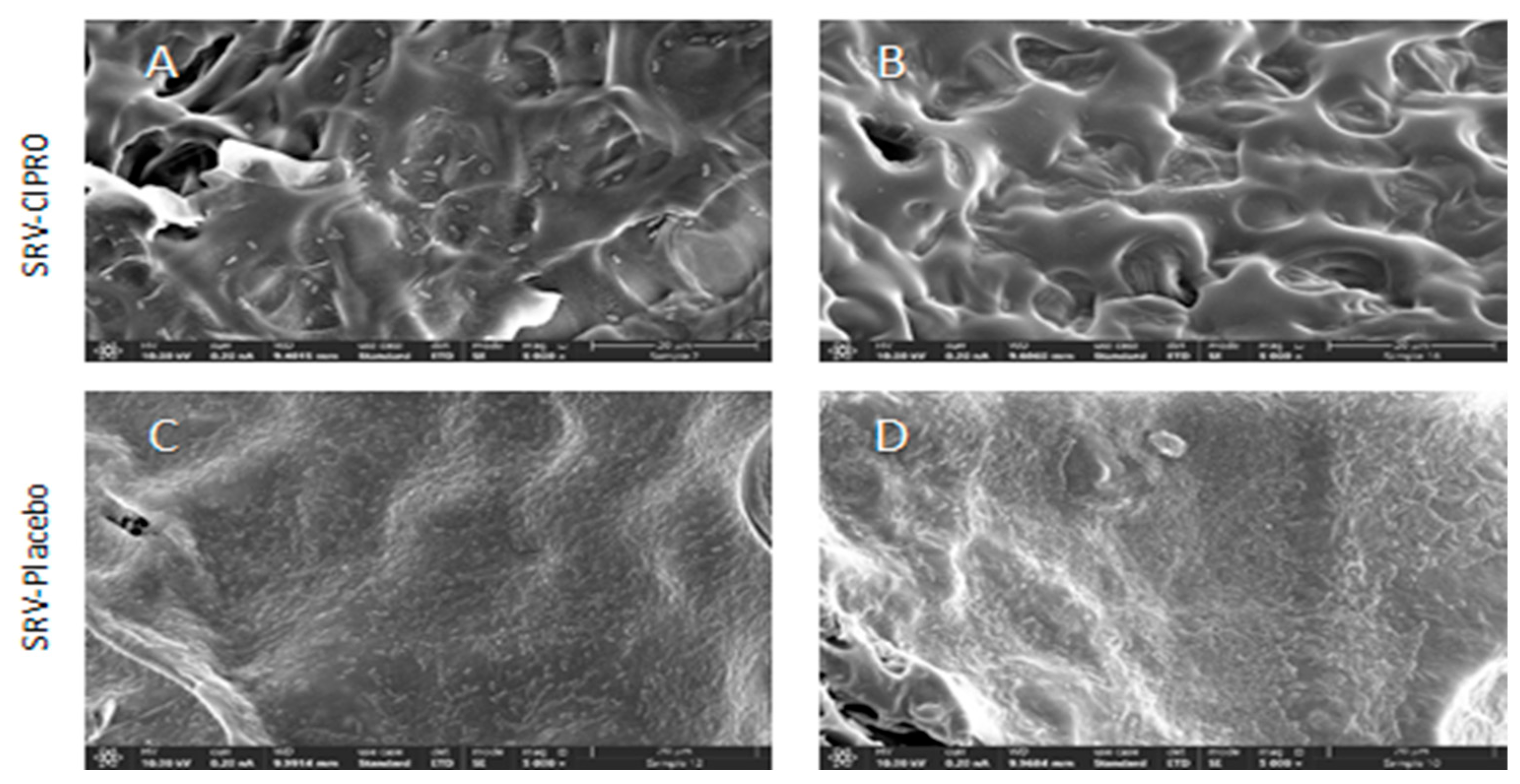 Microorganisms 13 02039 g007 Microorganisms 13 02039 g007