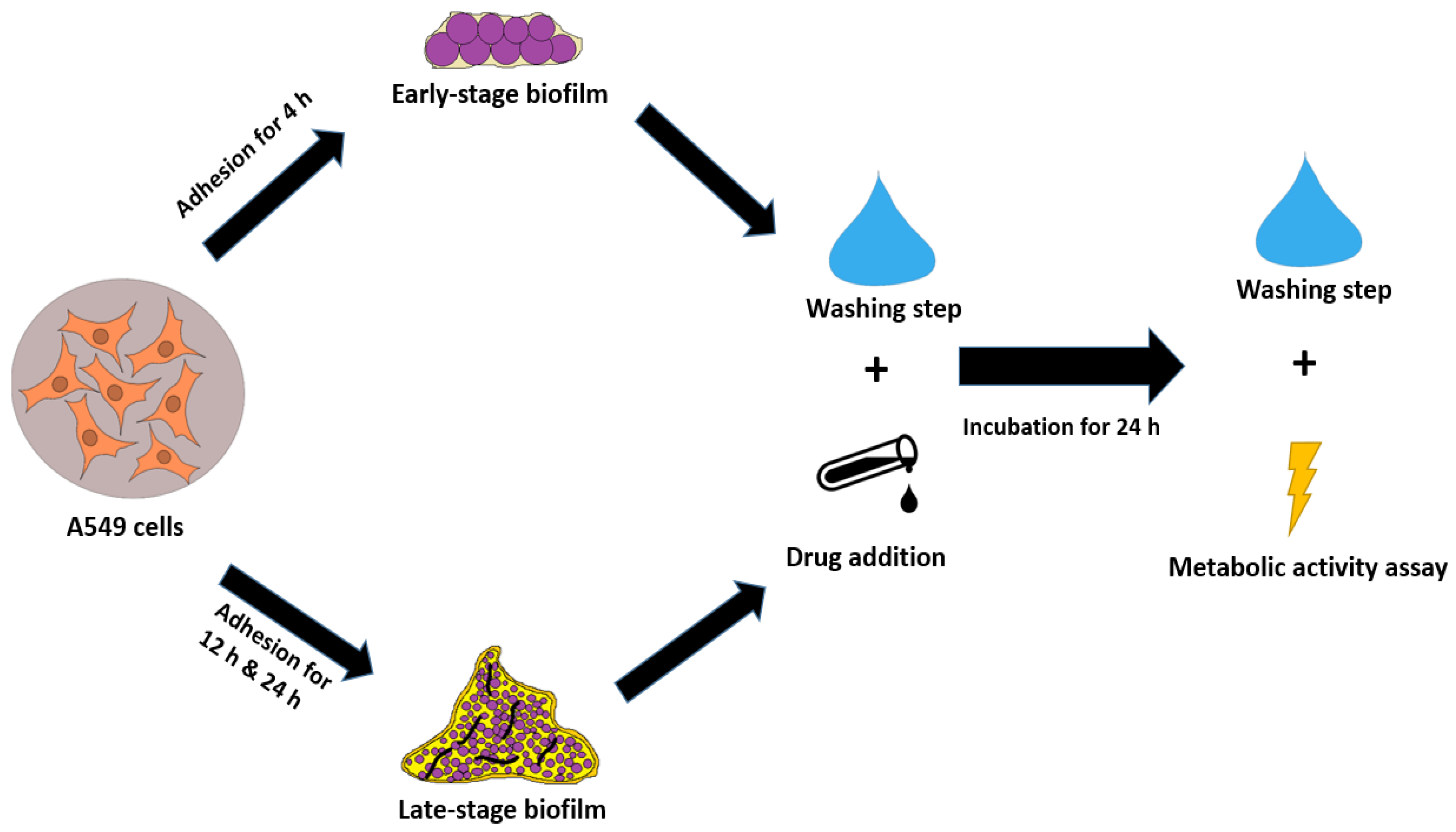 Microorganisms 13 02040 g001 Microorganisms 13 02040 g001
