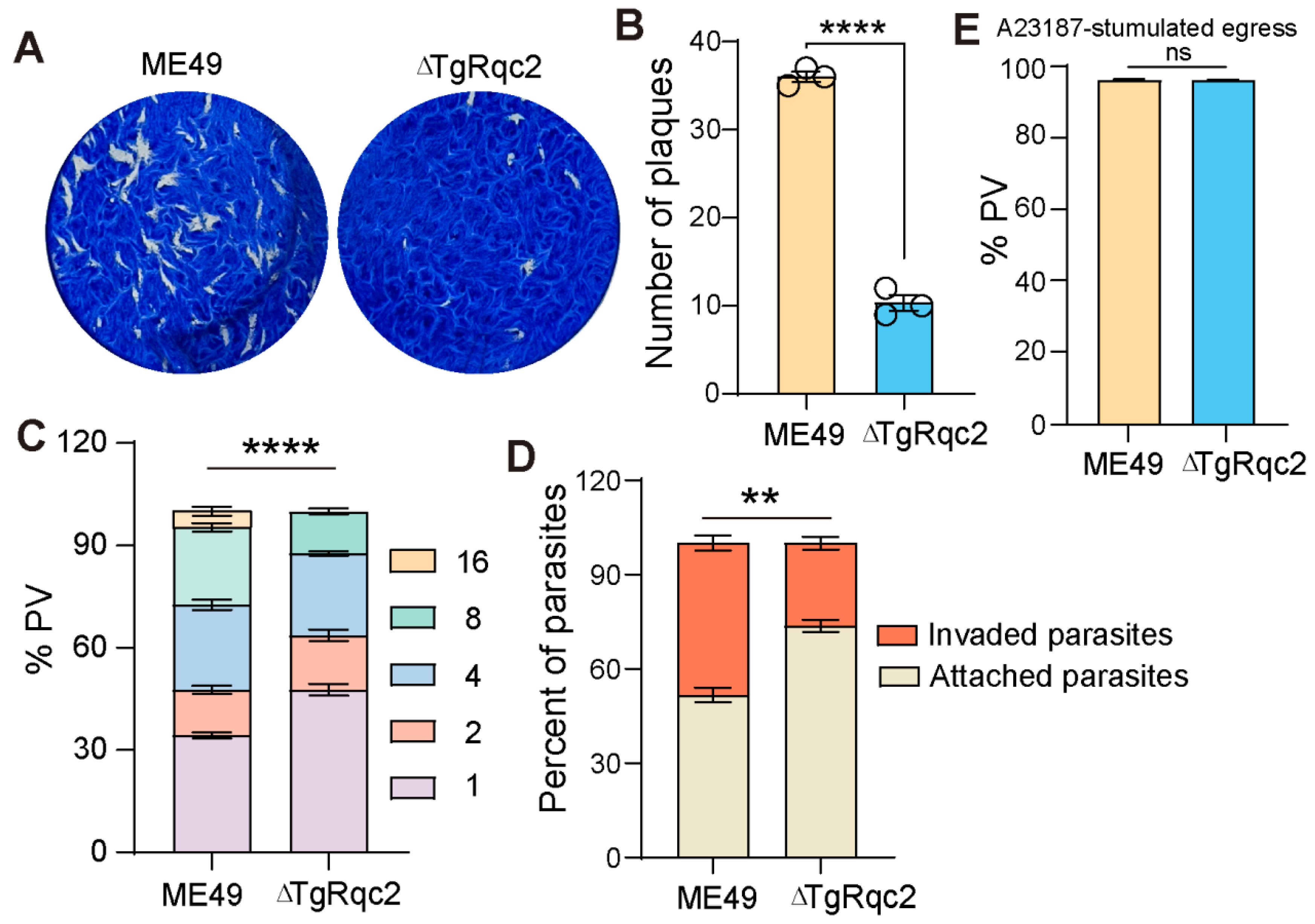 Microorganisms 13 02041 g002 Microorganisms 13 02041 g002