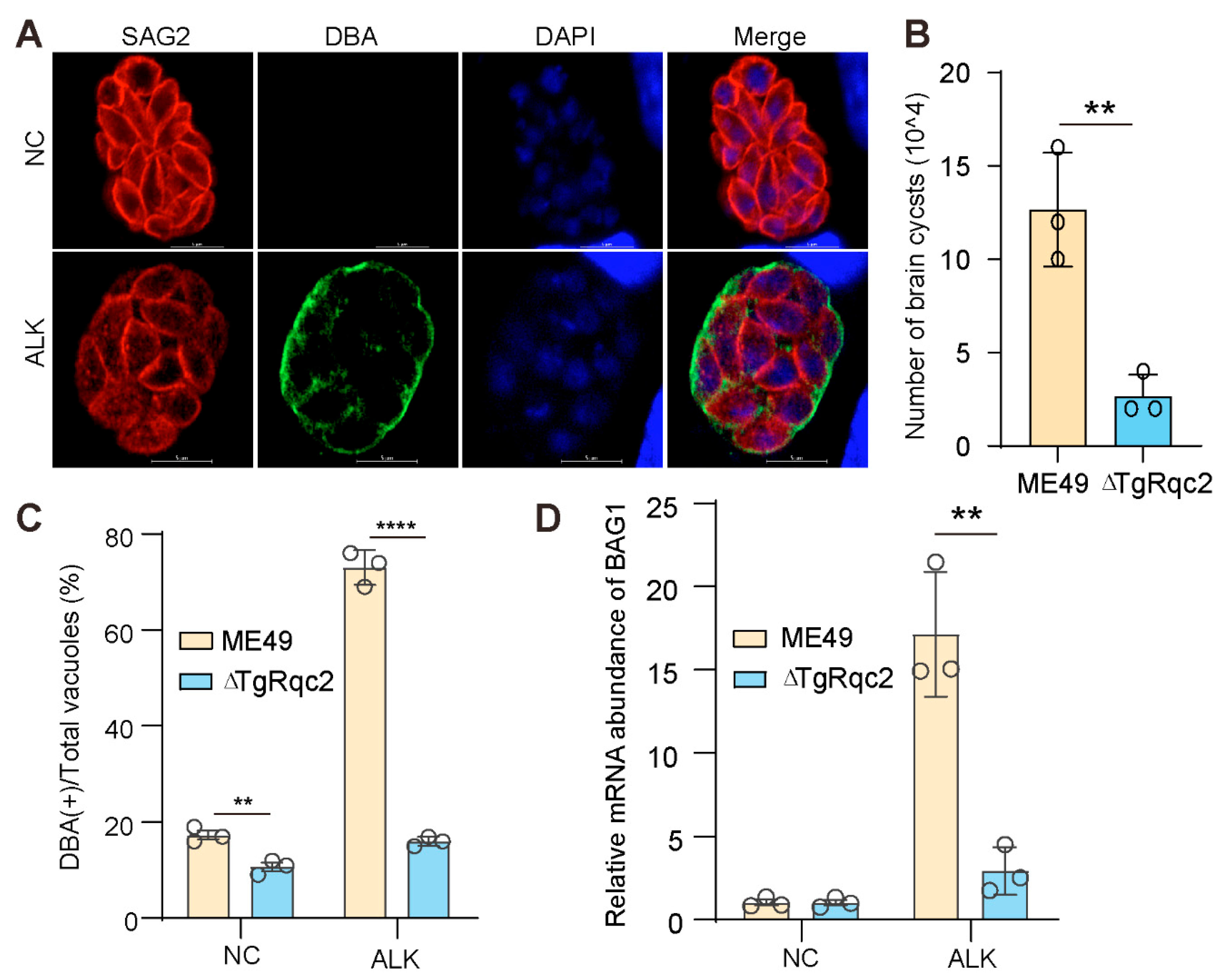 Microorganisms 13 02041 g003 Microorganisms 13 02041 g003