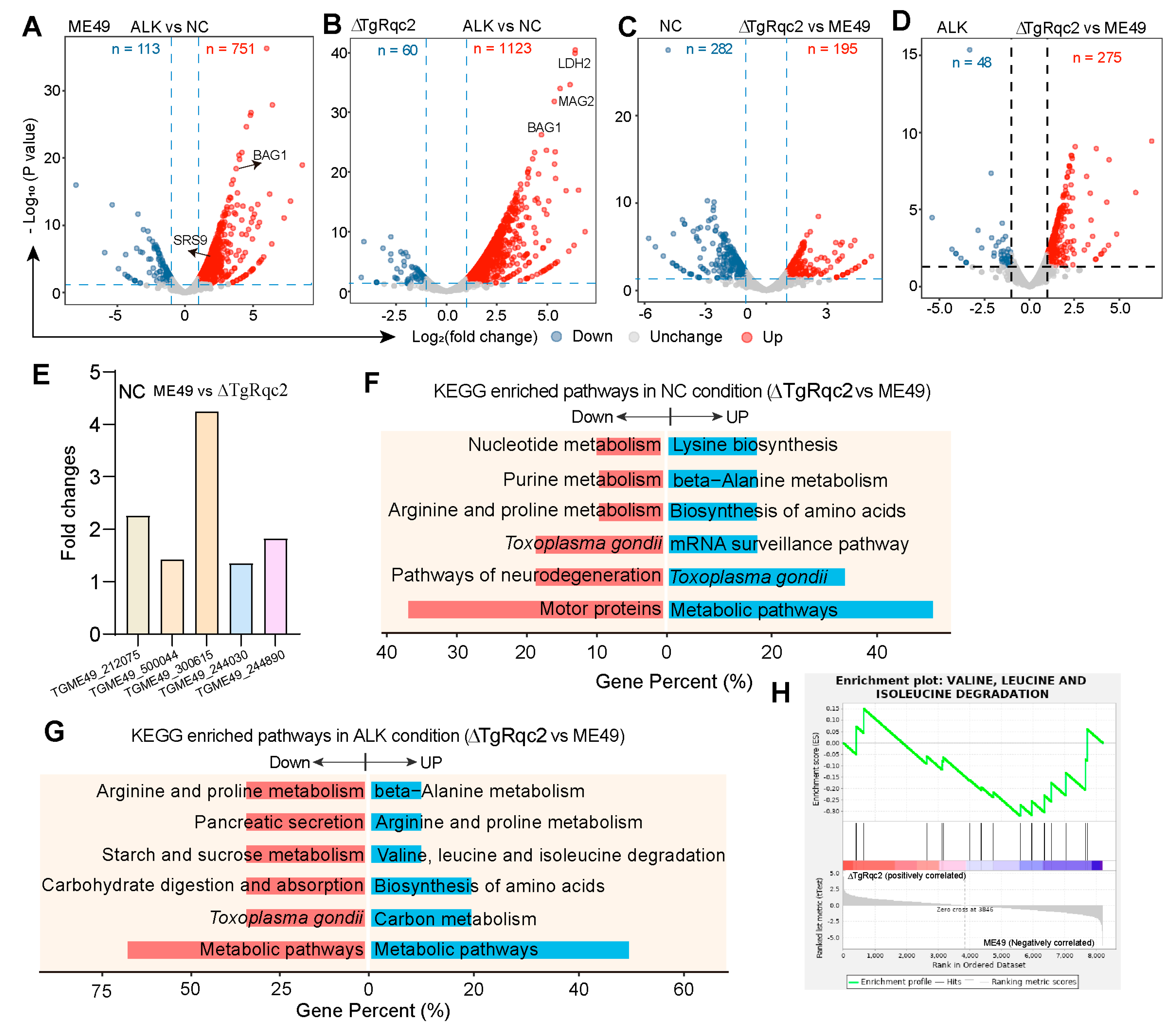 Microorganisms 13 02041 g004 Microorganisms 13 02041 g004