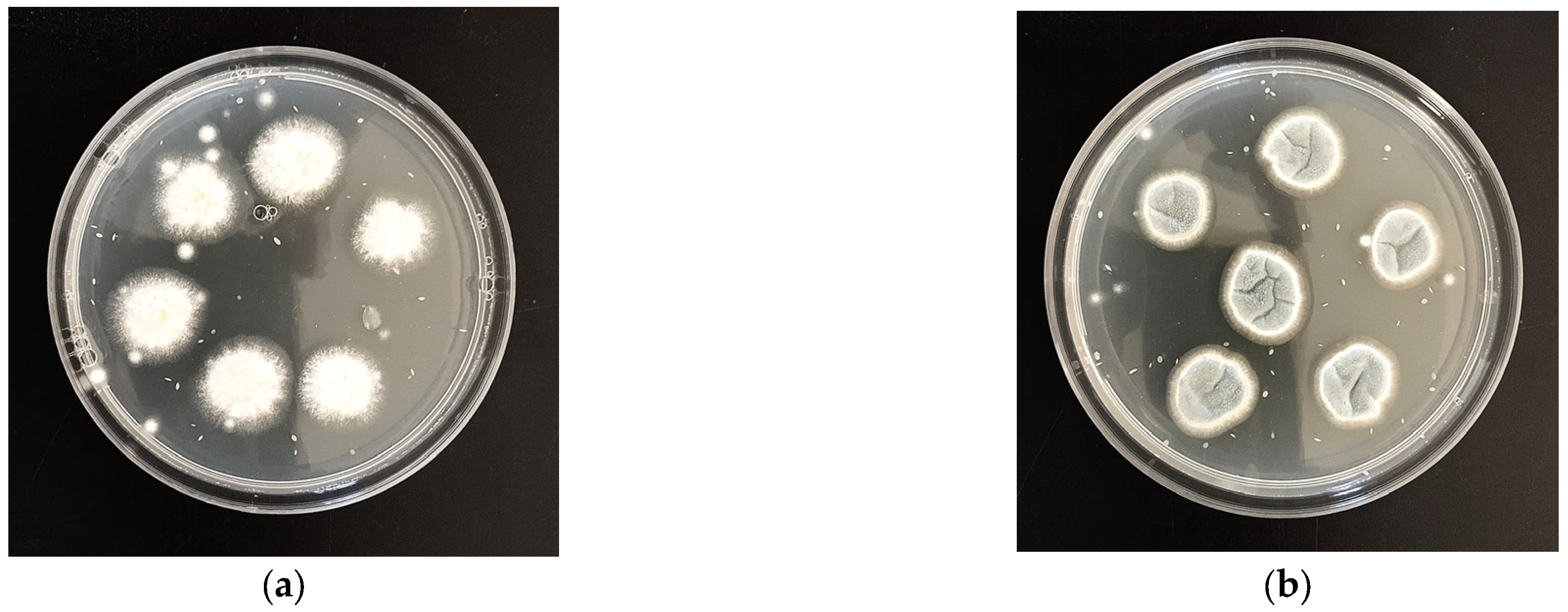Microorganisms 13 02042 g001 Microorganisms 13 02042 g001
