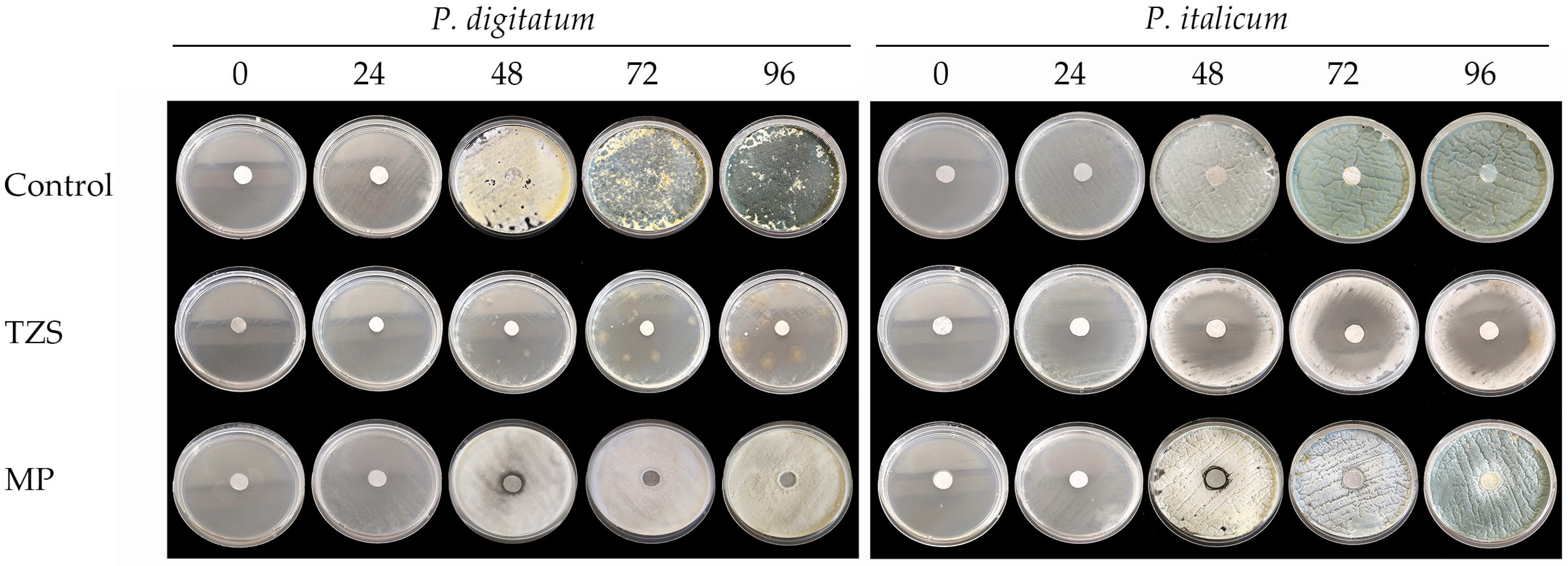 Microorganisms 13 02042 g002 Microorganisms 13 02042 g002