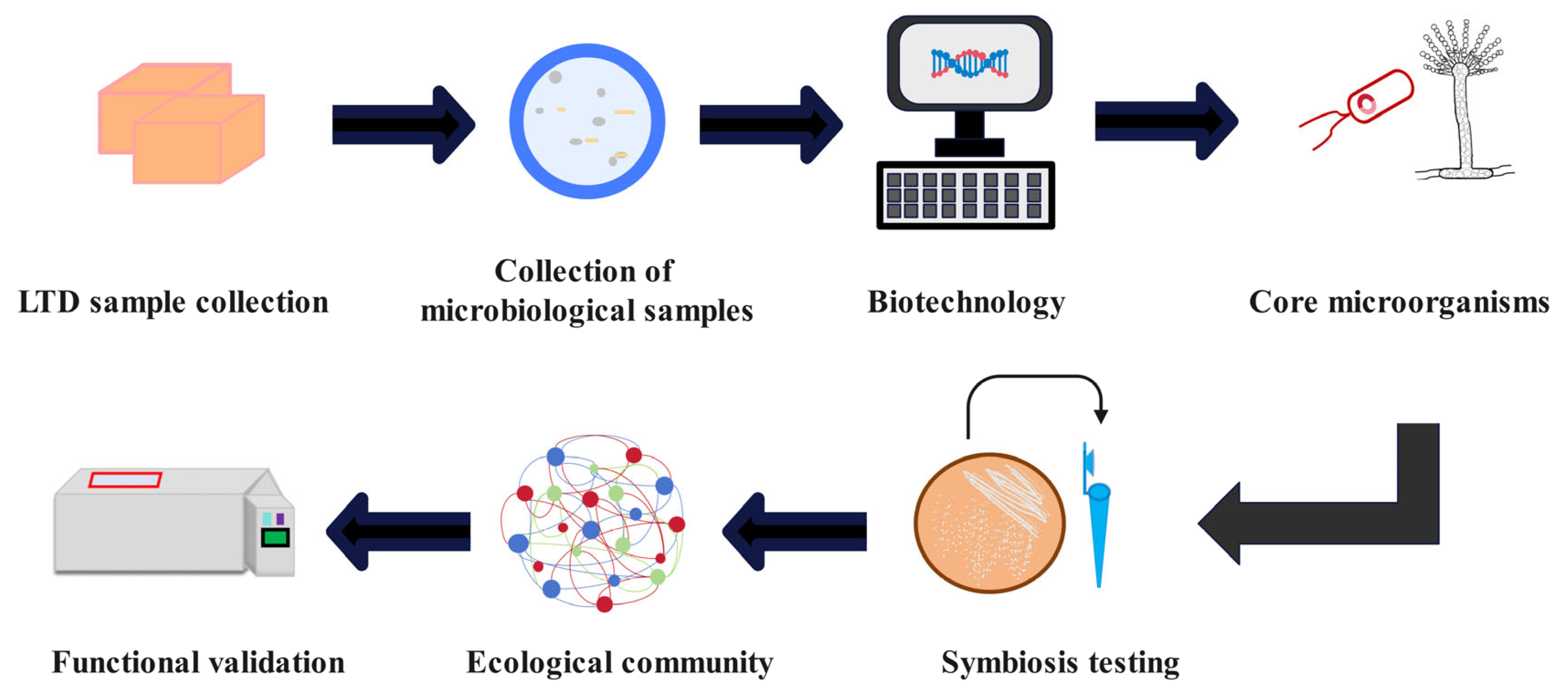 Exploration of Core Microorganisms and Synthetic Microbial