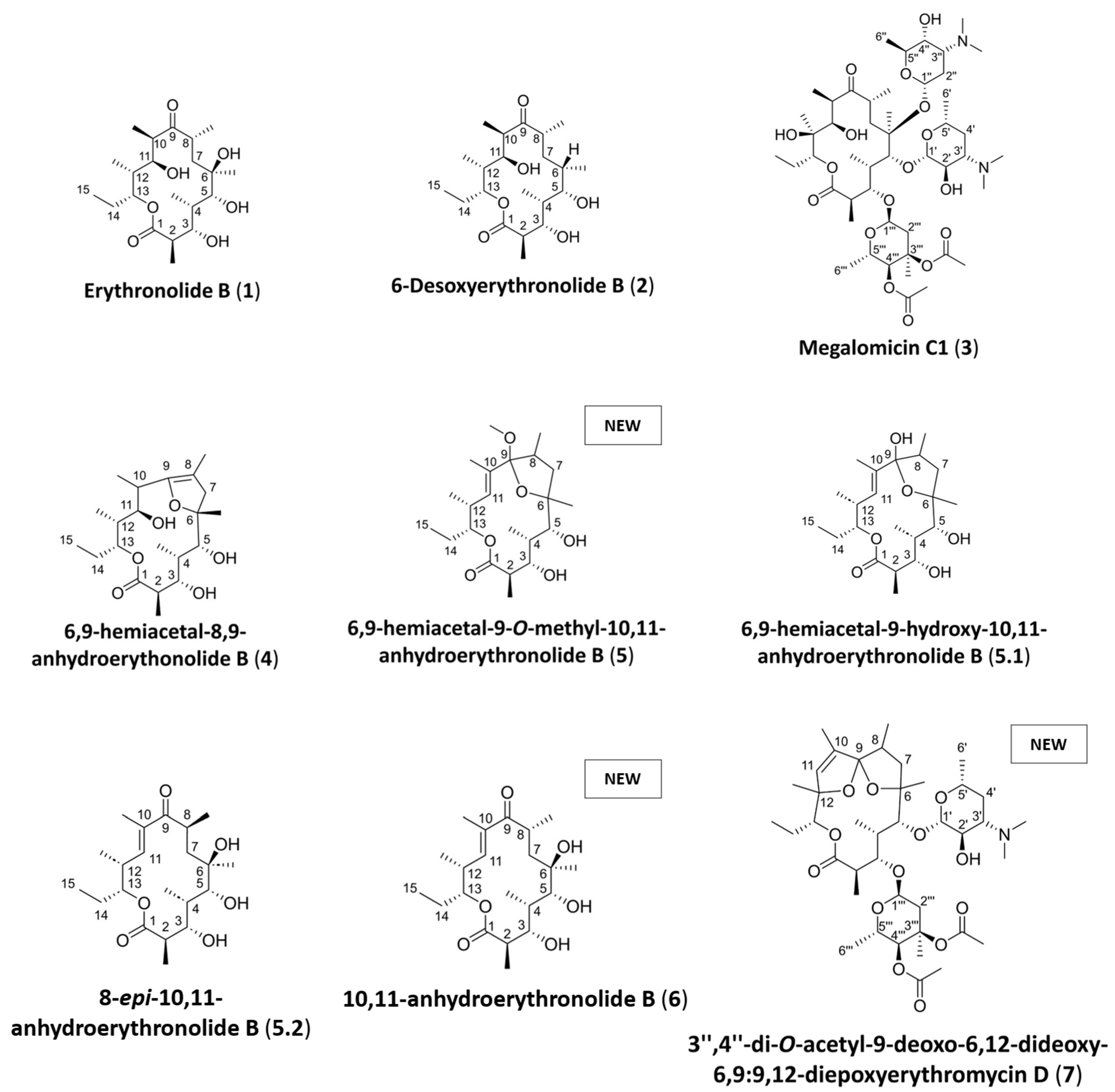 Microorganisms 13 02045 g002