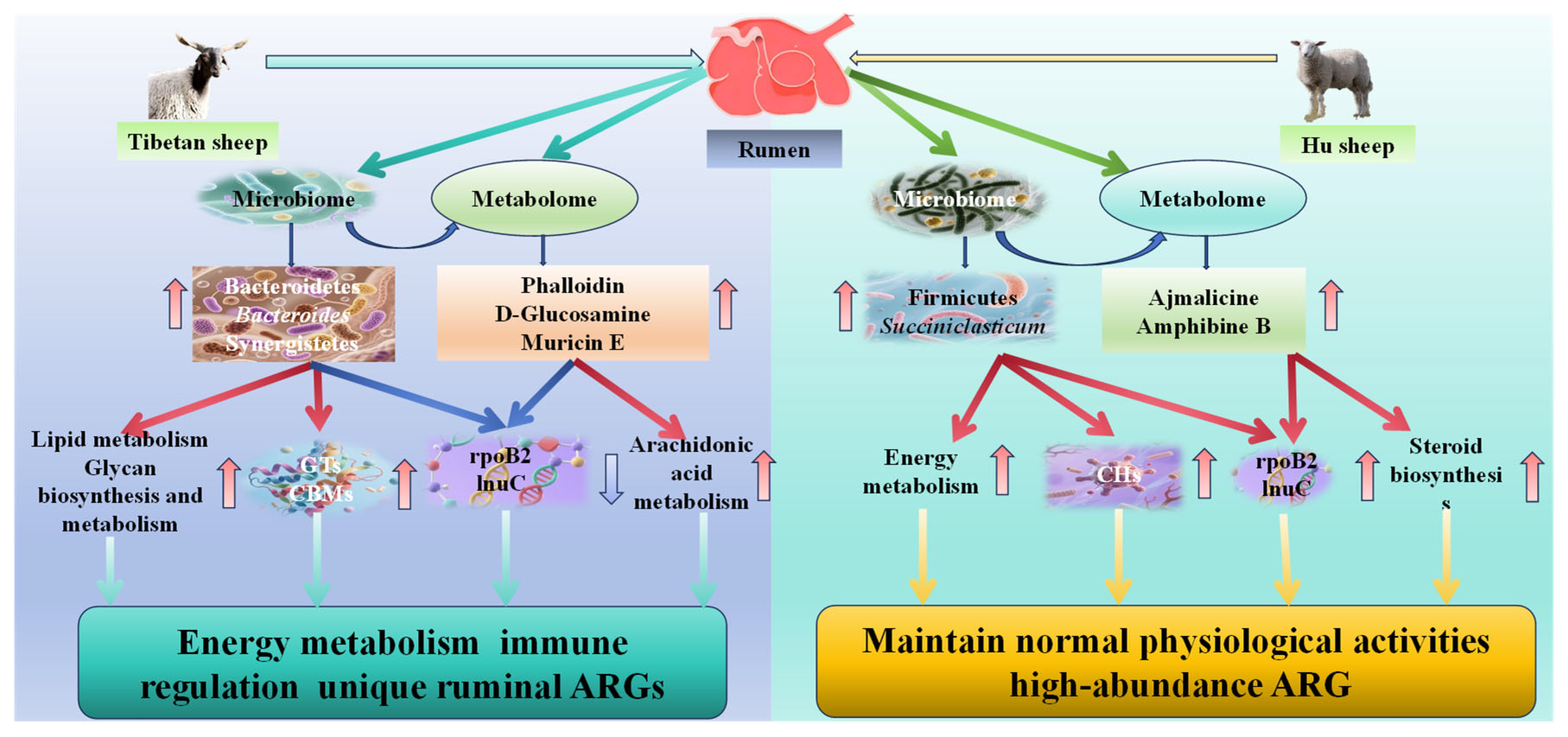 Microorganisms 13 02049 g011 Microorganisms 13 02049 g011