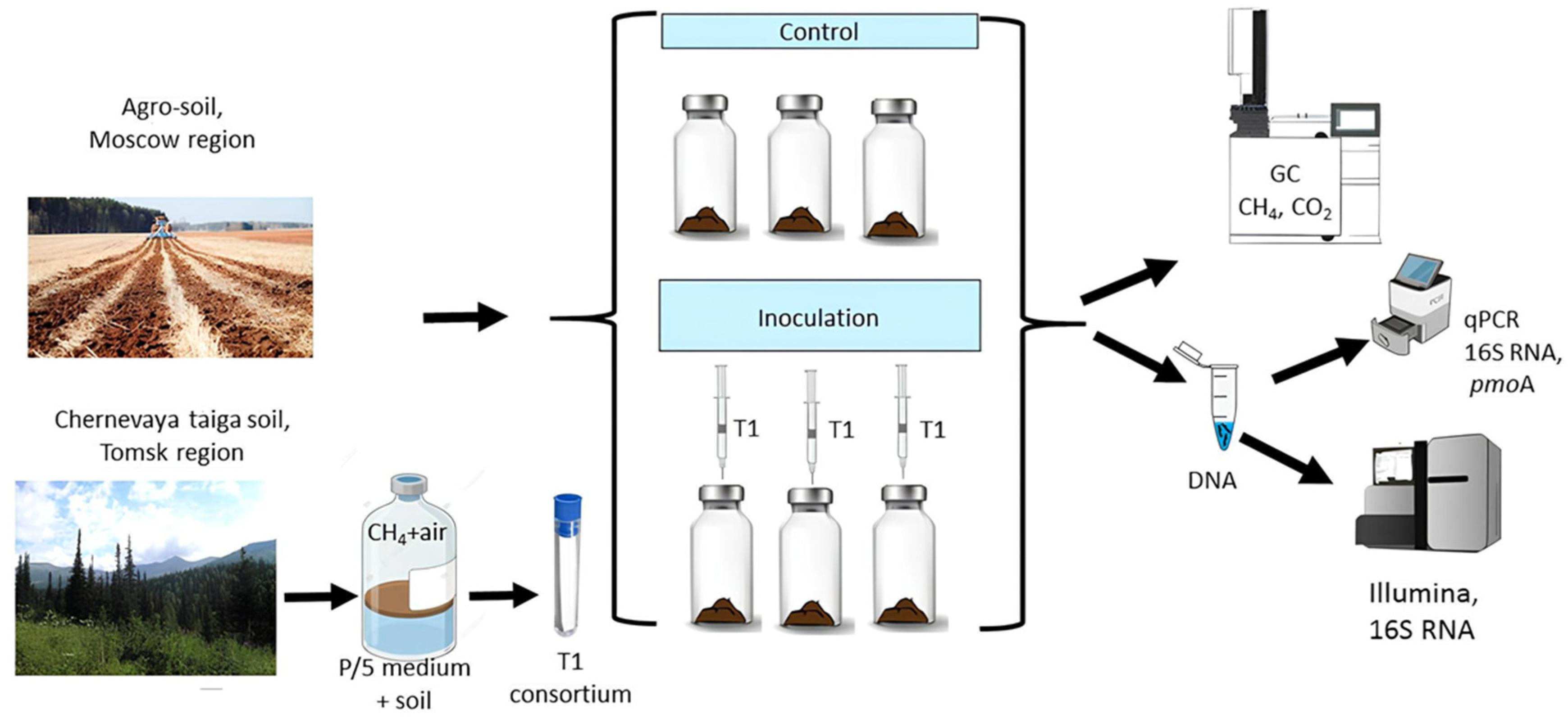 Microorganisms 13 02052 g001