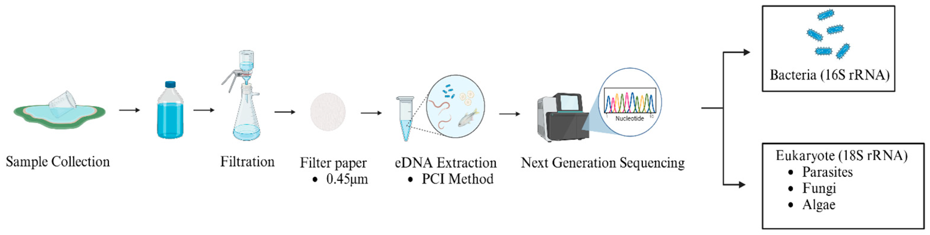 Microorganisms 13 02055 g002 Microorganisms 13 02055 g002
