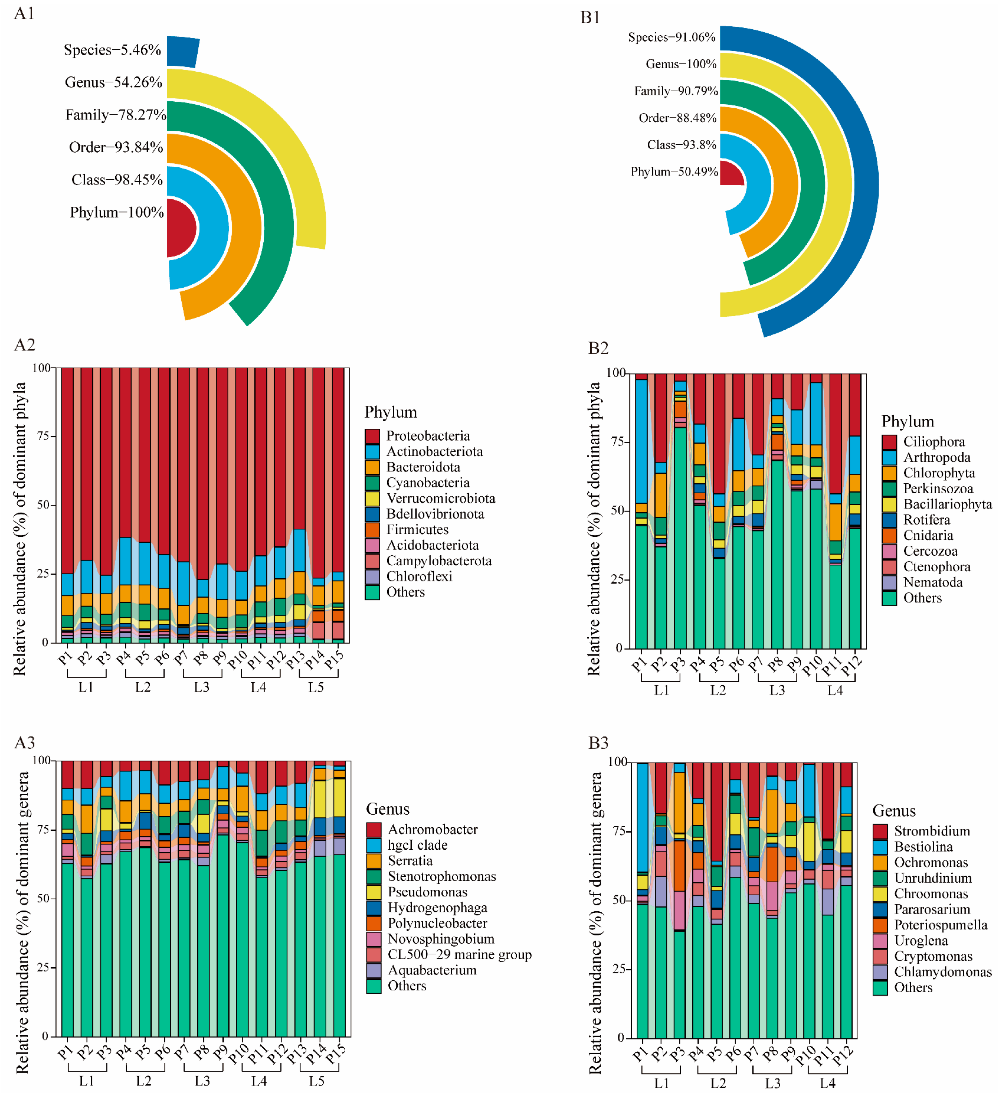 Microorganisms 13 02055 g004 Microorganisms 13 02055 g004