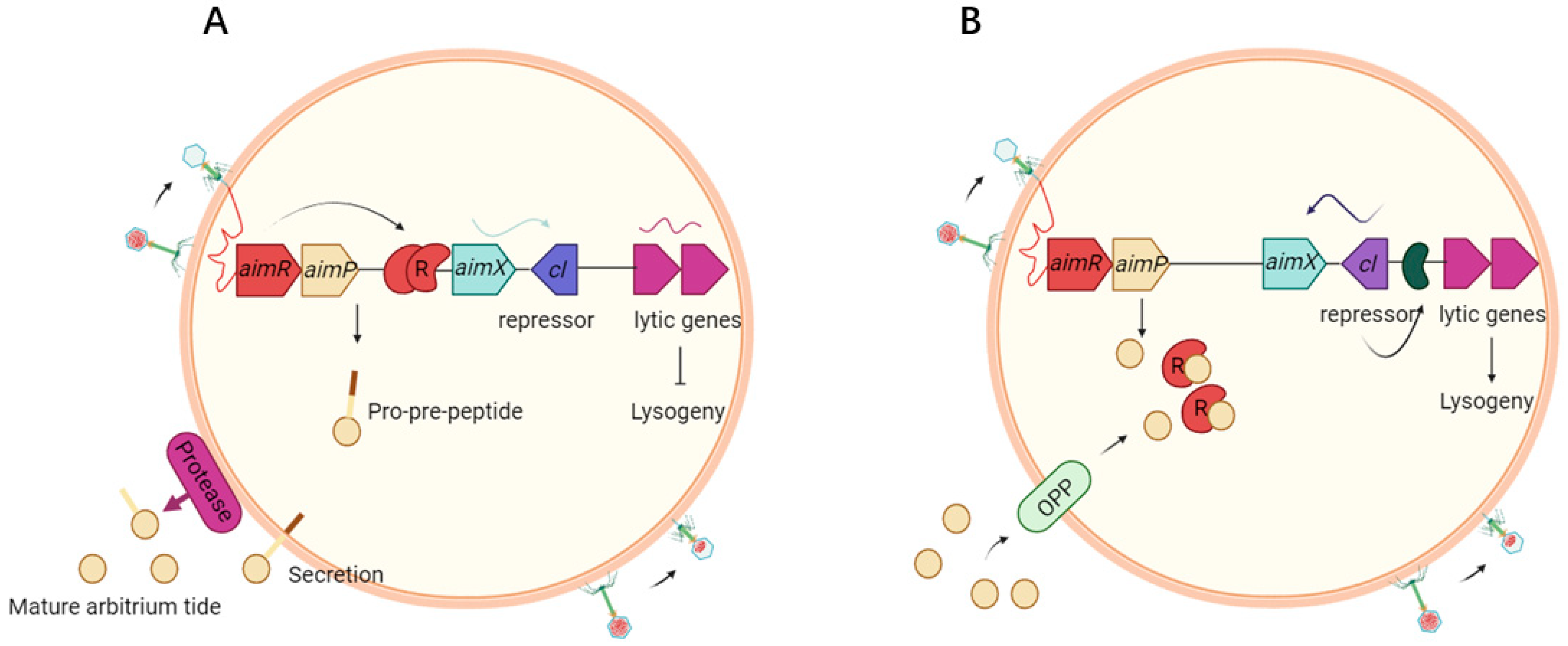 Microorganisms 13 02058 g001 Microorganisms 13 02058 g001