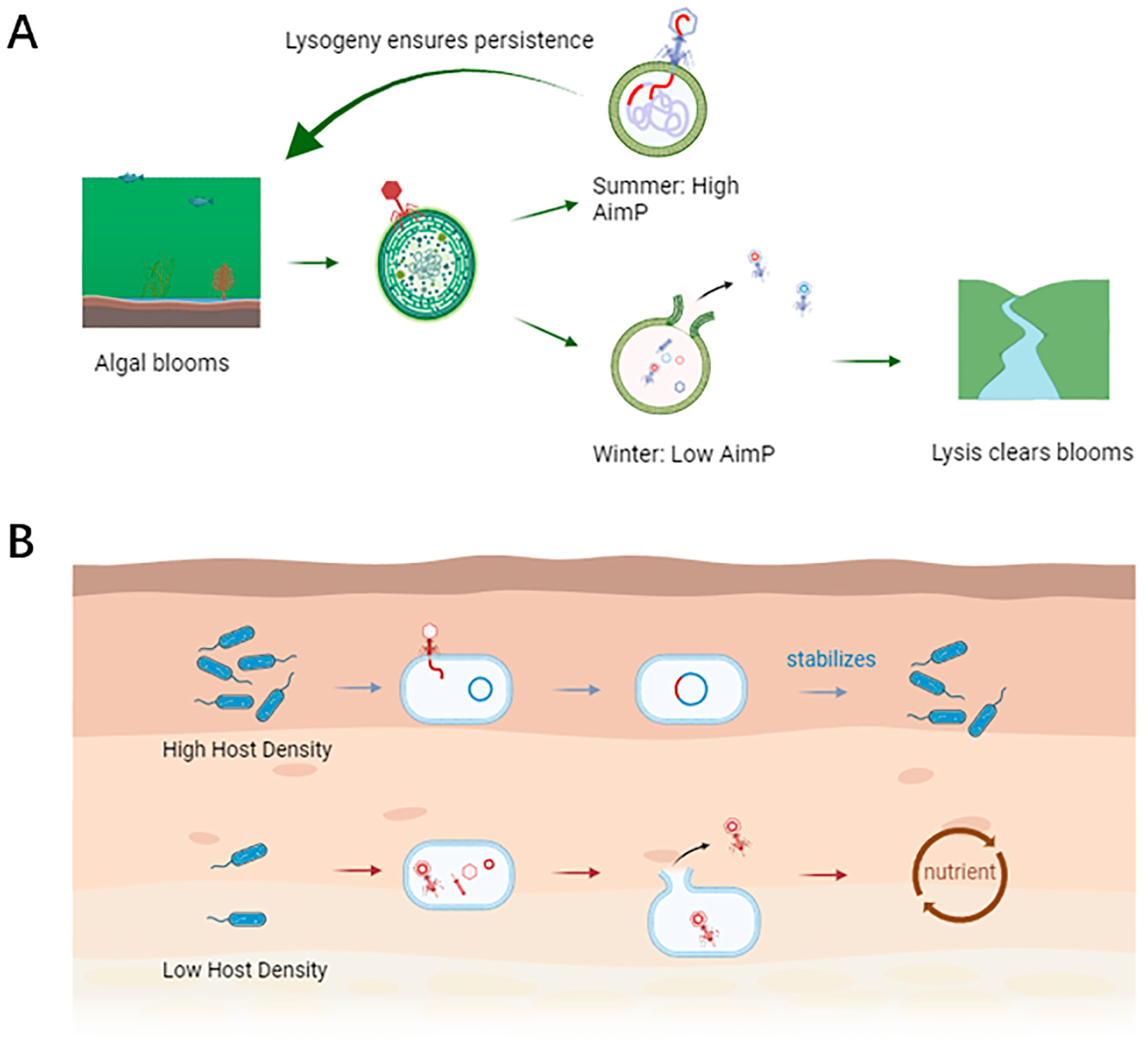 Microorganisms 13 02058 g002 Microorganisms 13 02058 g002