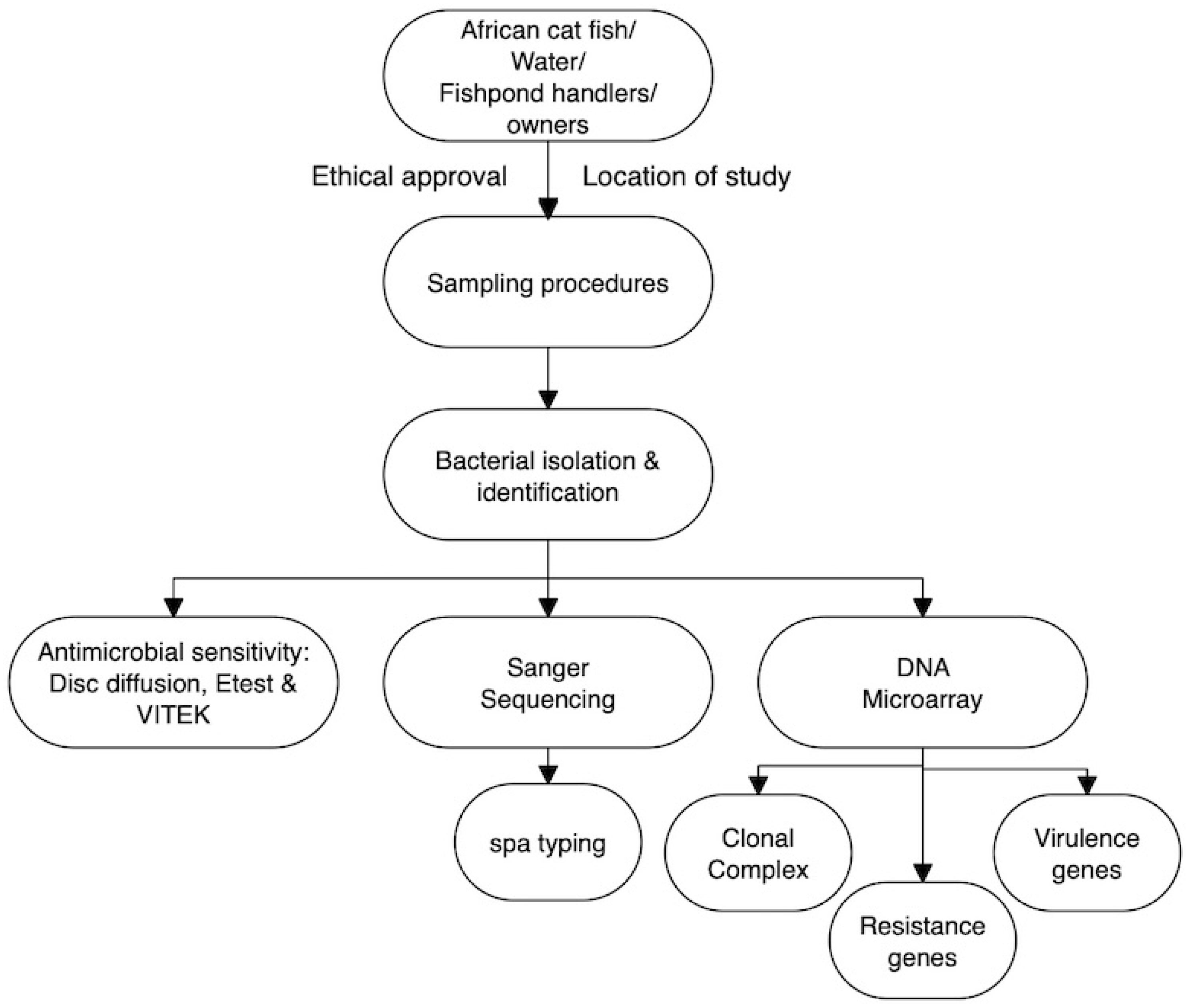 Microorganisms 13 02059 g001 Microorganisms 13 02059 g001