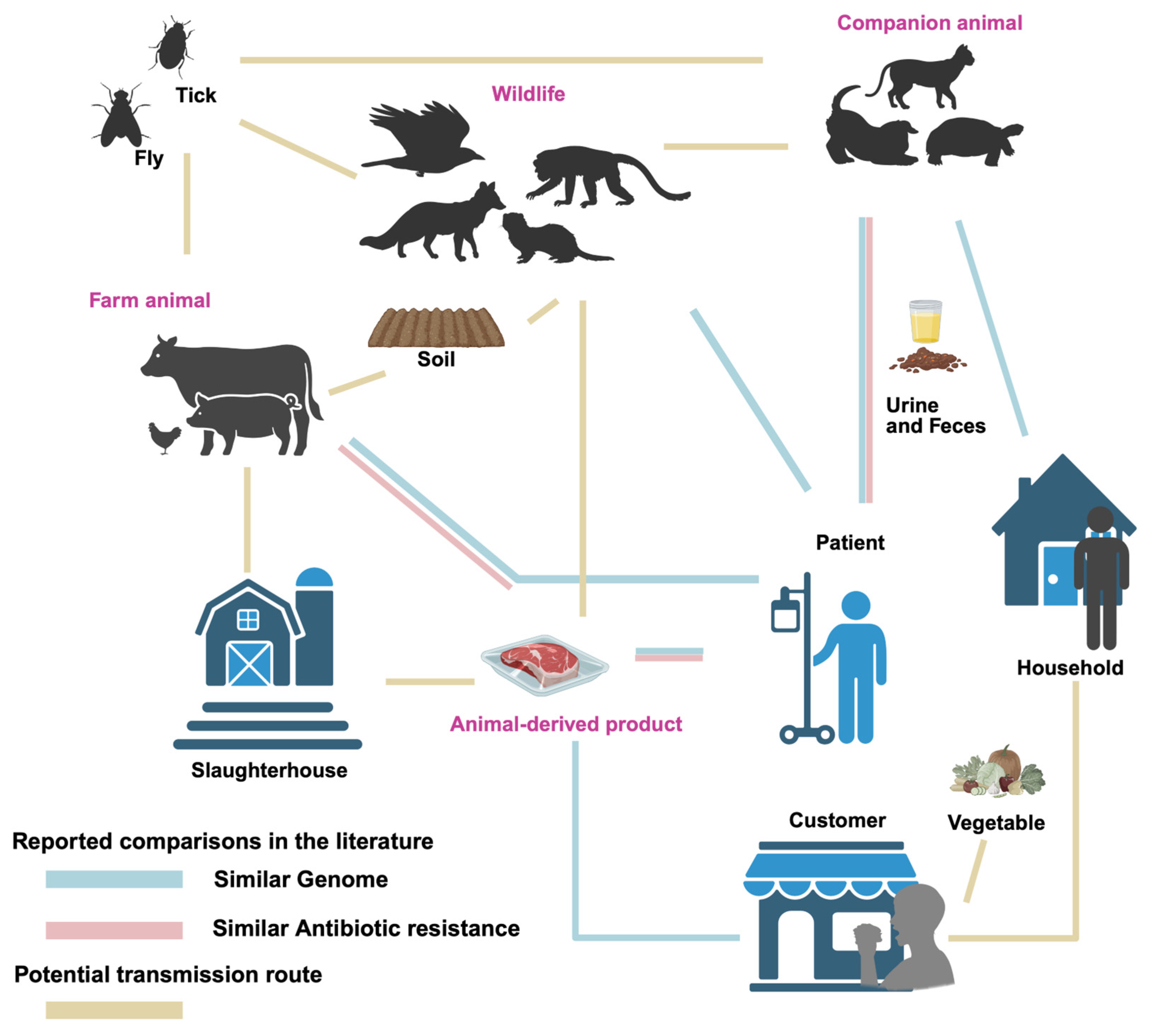 Microorganisms 13 02060 g001 Microorganisms 13 02060 g001