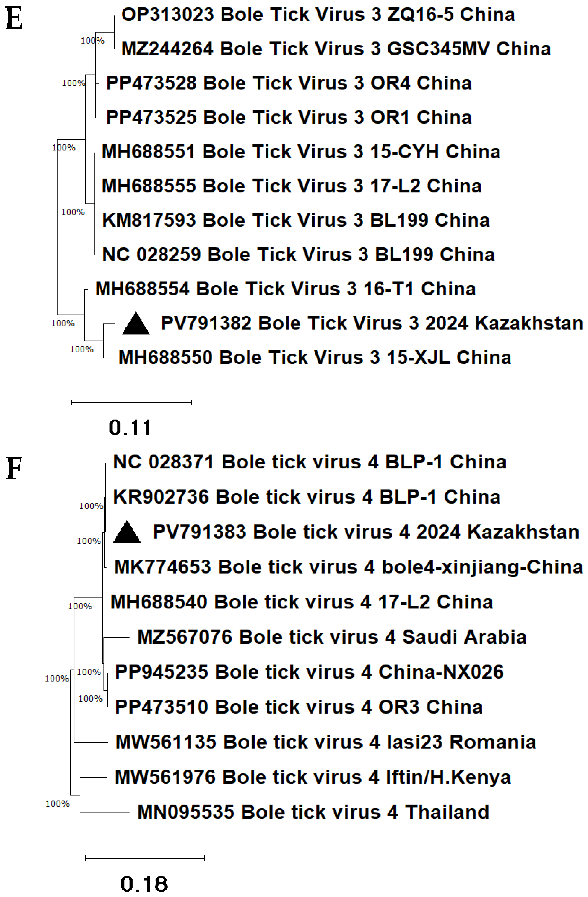 Microorganisms 13 02064 g006c