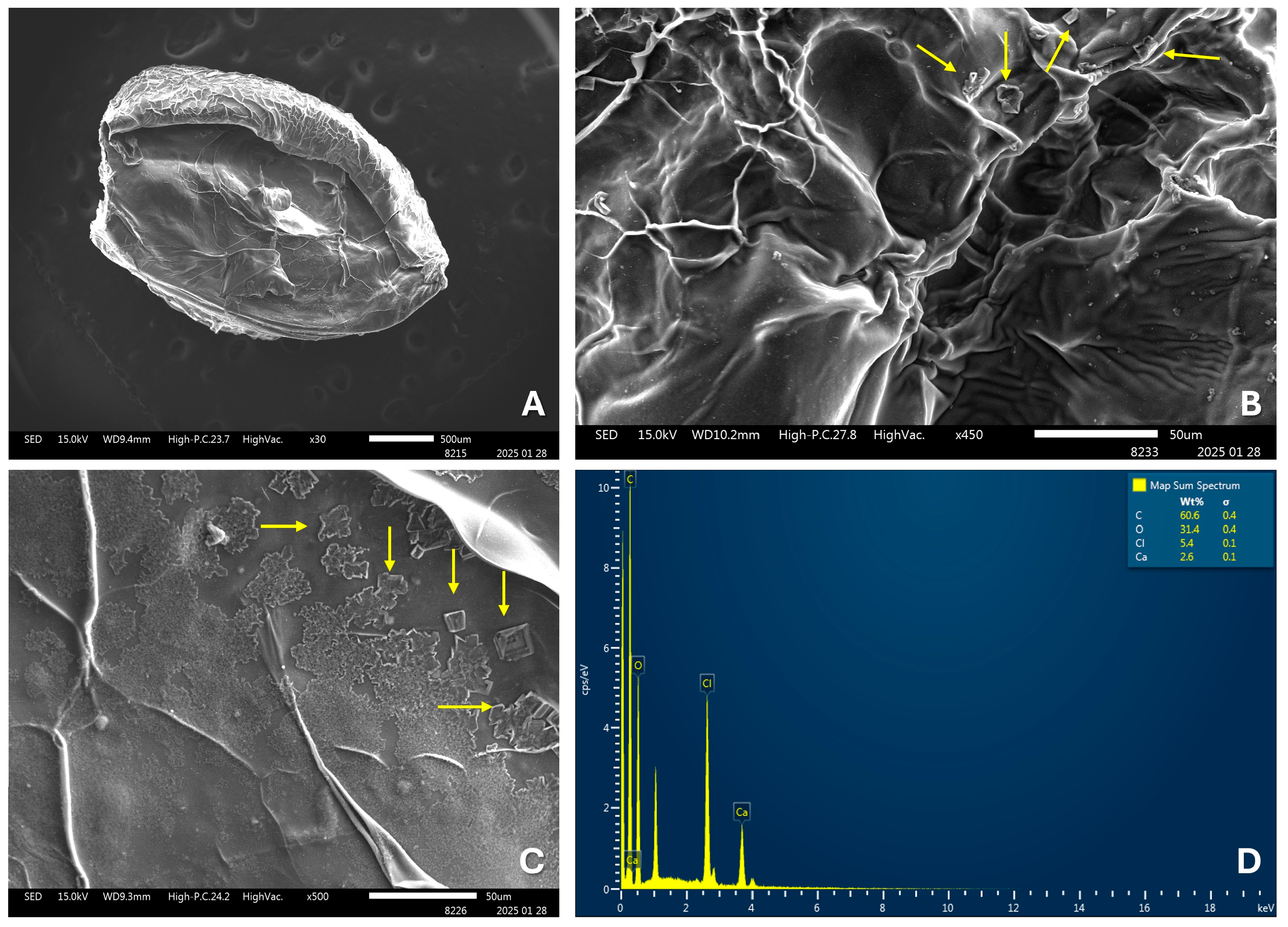 Microorganisms 13 02065 g002