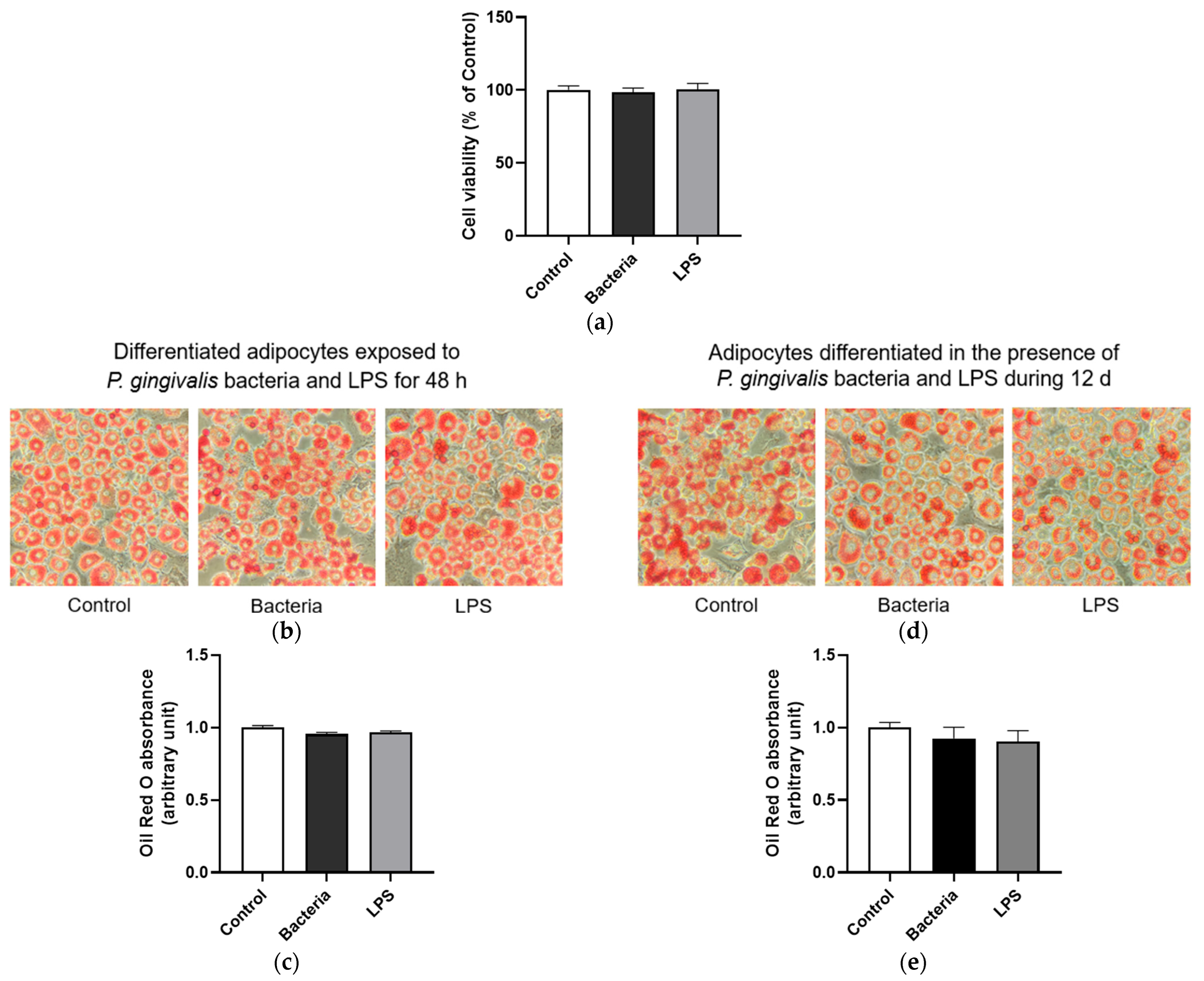 Microorganisms 13 02074 g004