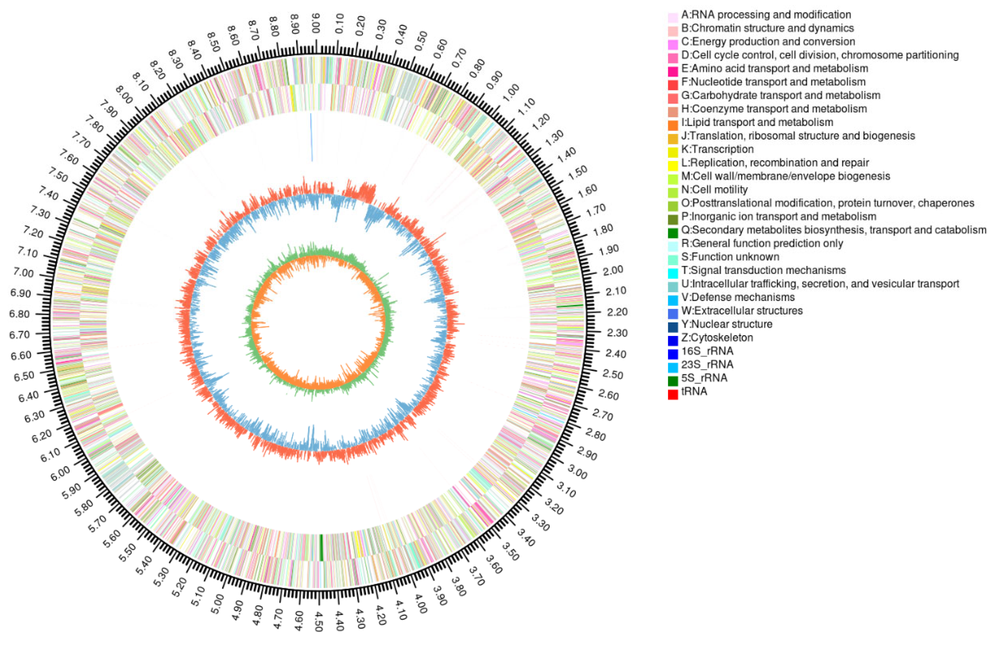 Microorganisms 13 02079 g002