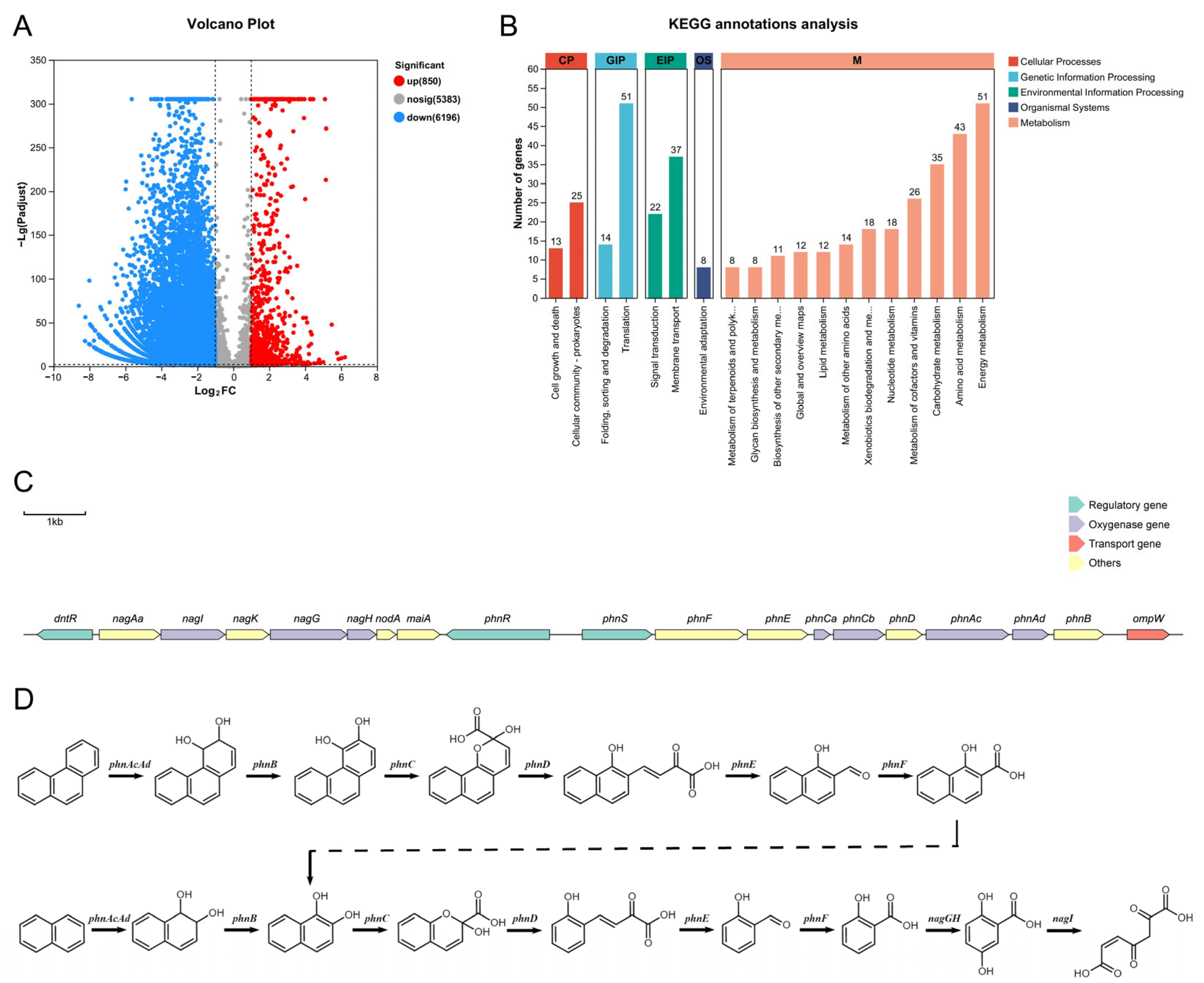 Microorganisms 13 02079 g003