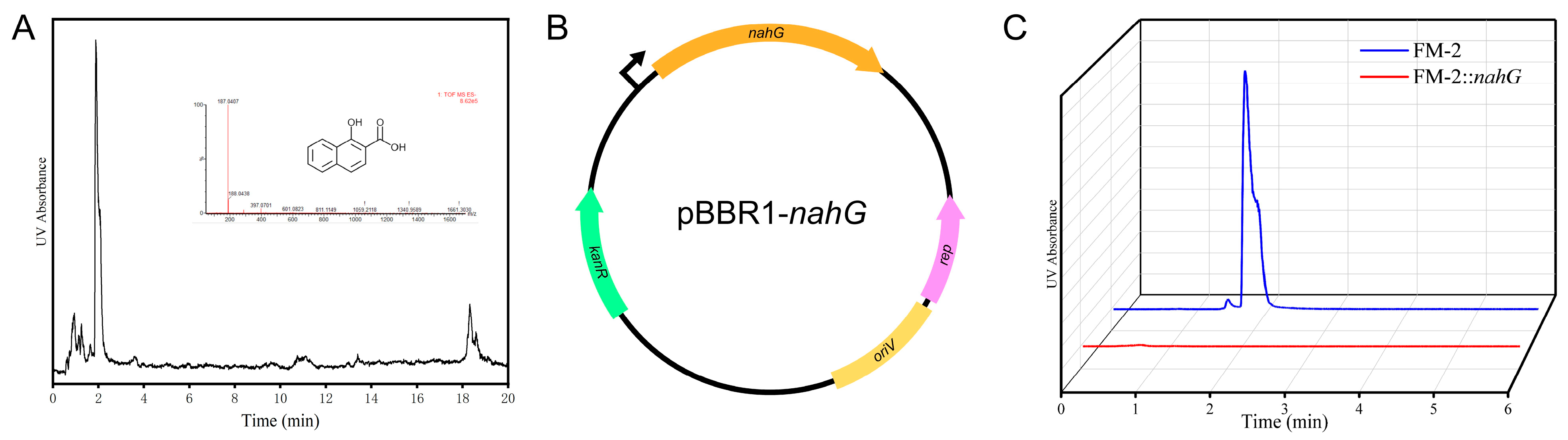 Microorganisms 13 02079 g007
