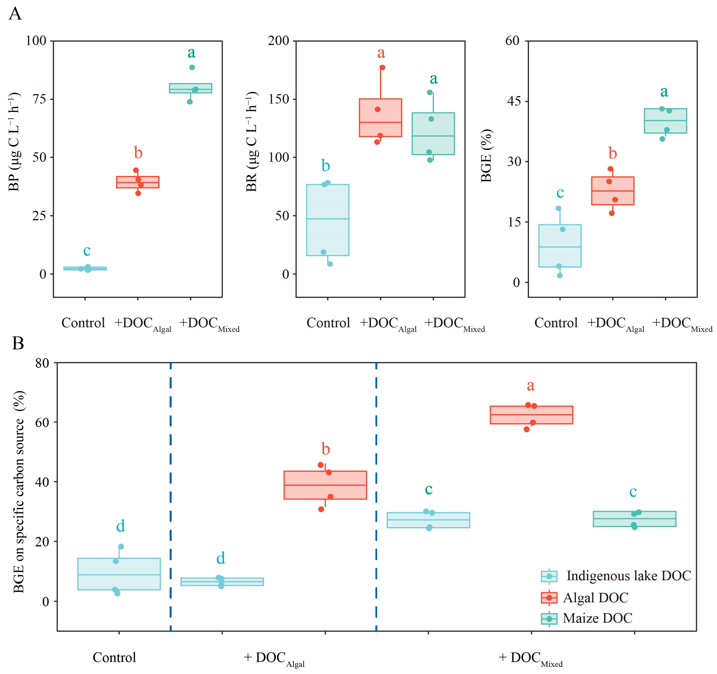Microorganisms 13 02081 g004 Microorganisms 13 02081 g004
