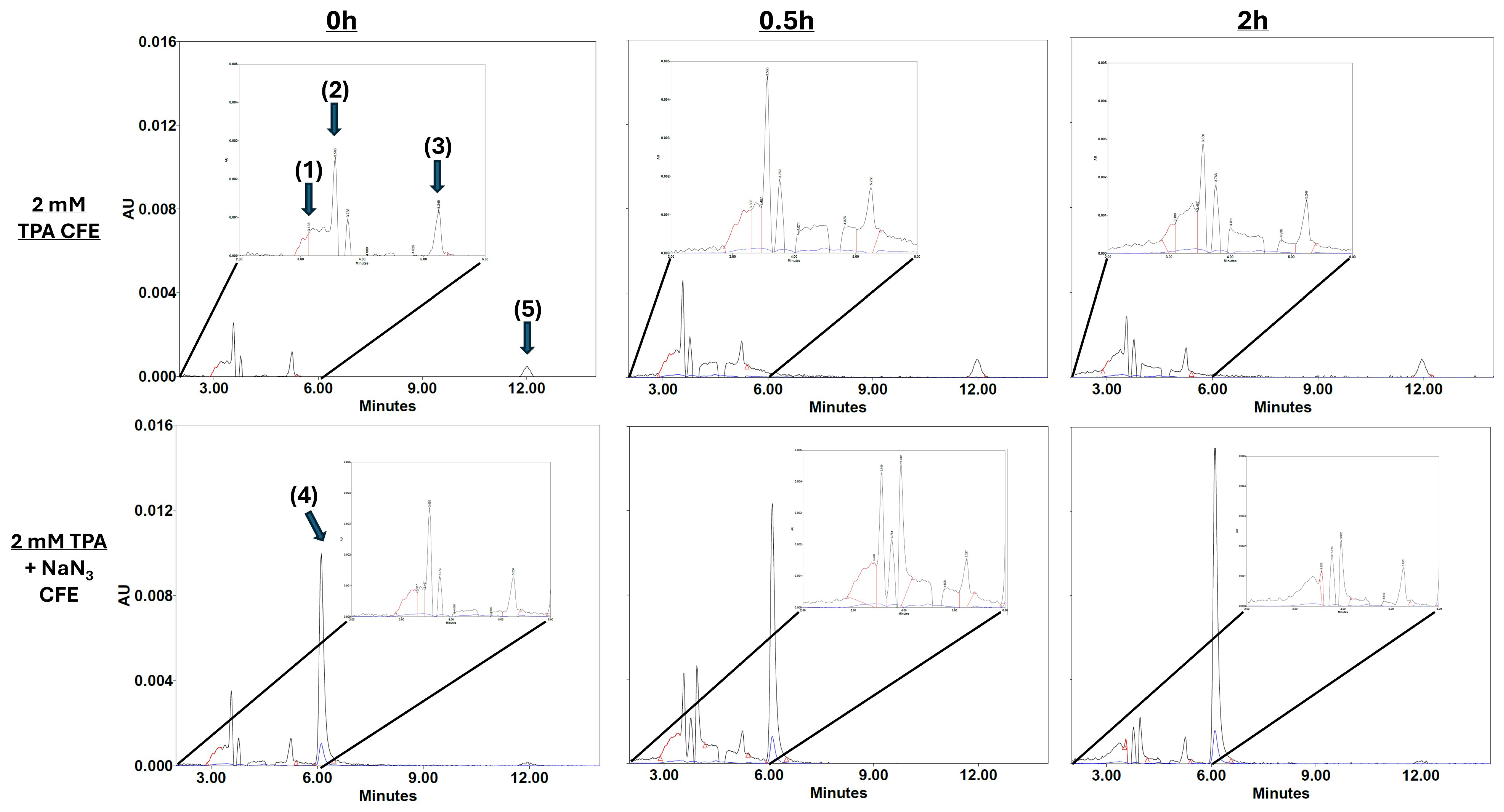 Microorganisms 13 02082 g003 Microorganisms 13 02082 g003