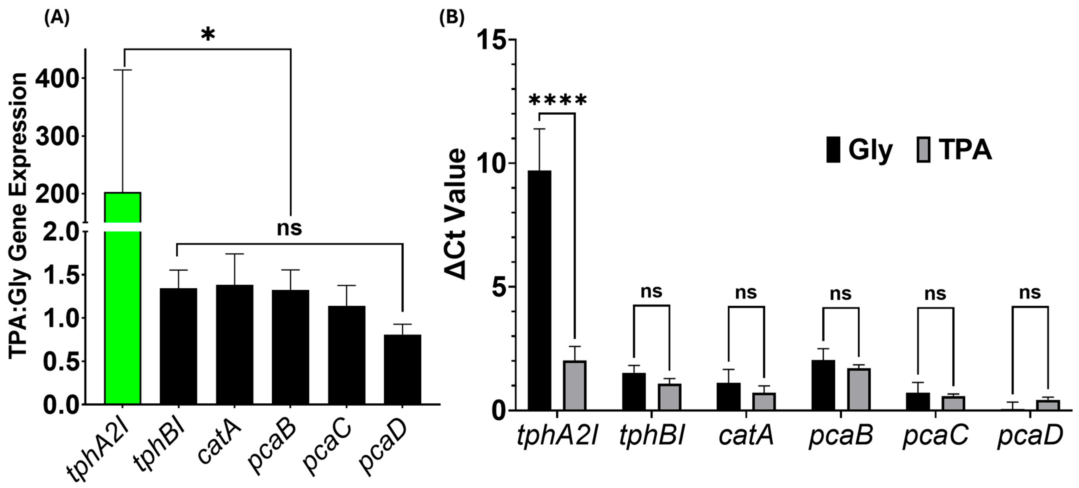 Microorganisms 13 02082 g007 Microorganisms 13 02082 g007