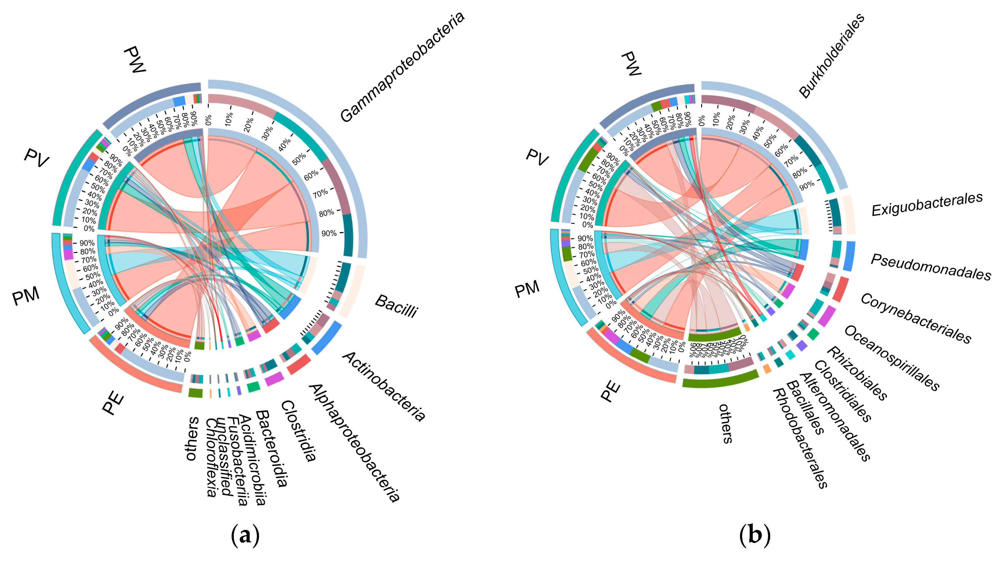 Microorganisms 13 02083 g004a Microorganisms 13 02083 g004a