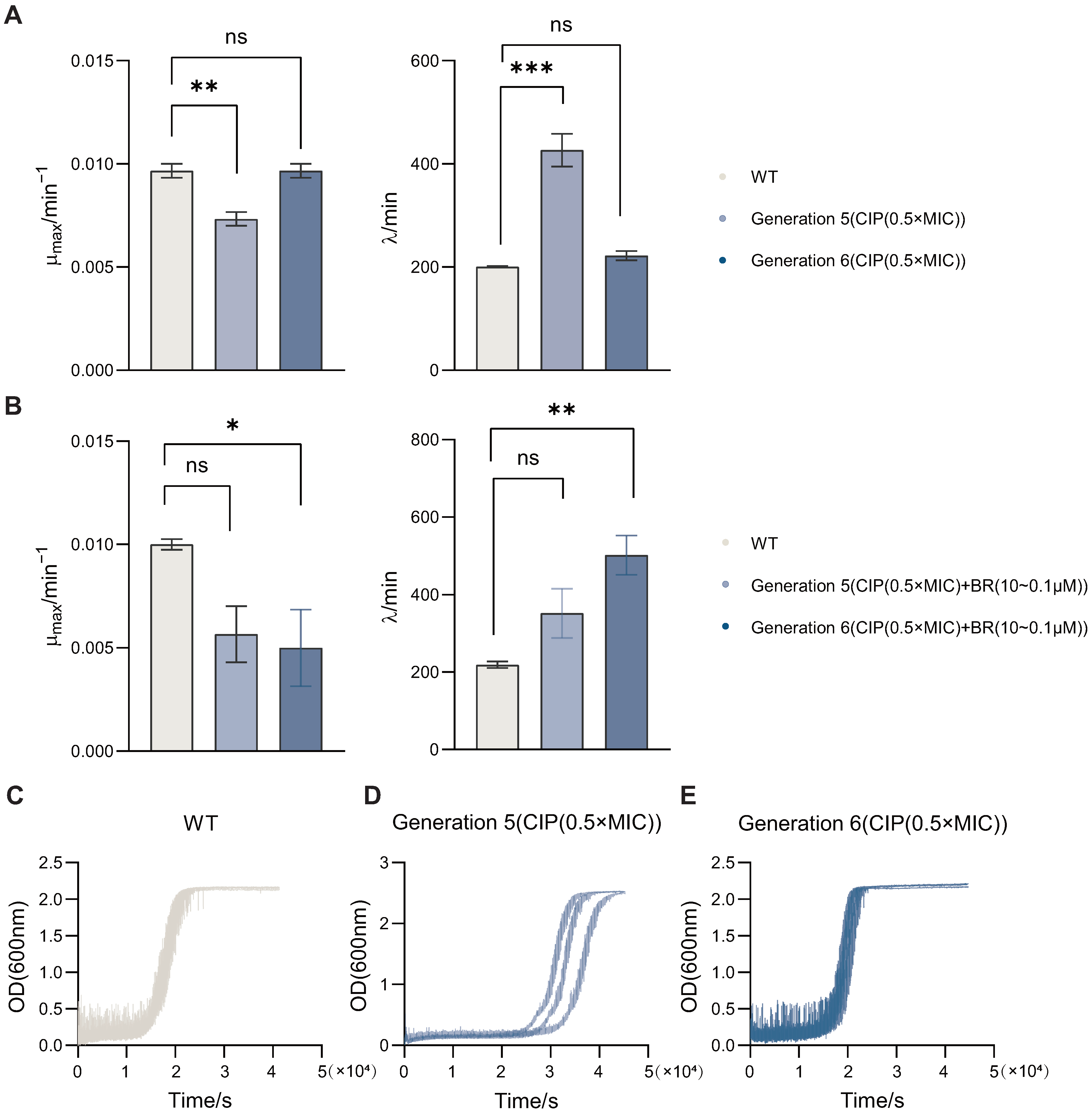 Microorganisms 13 02087 g003