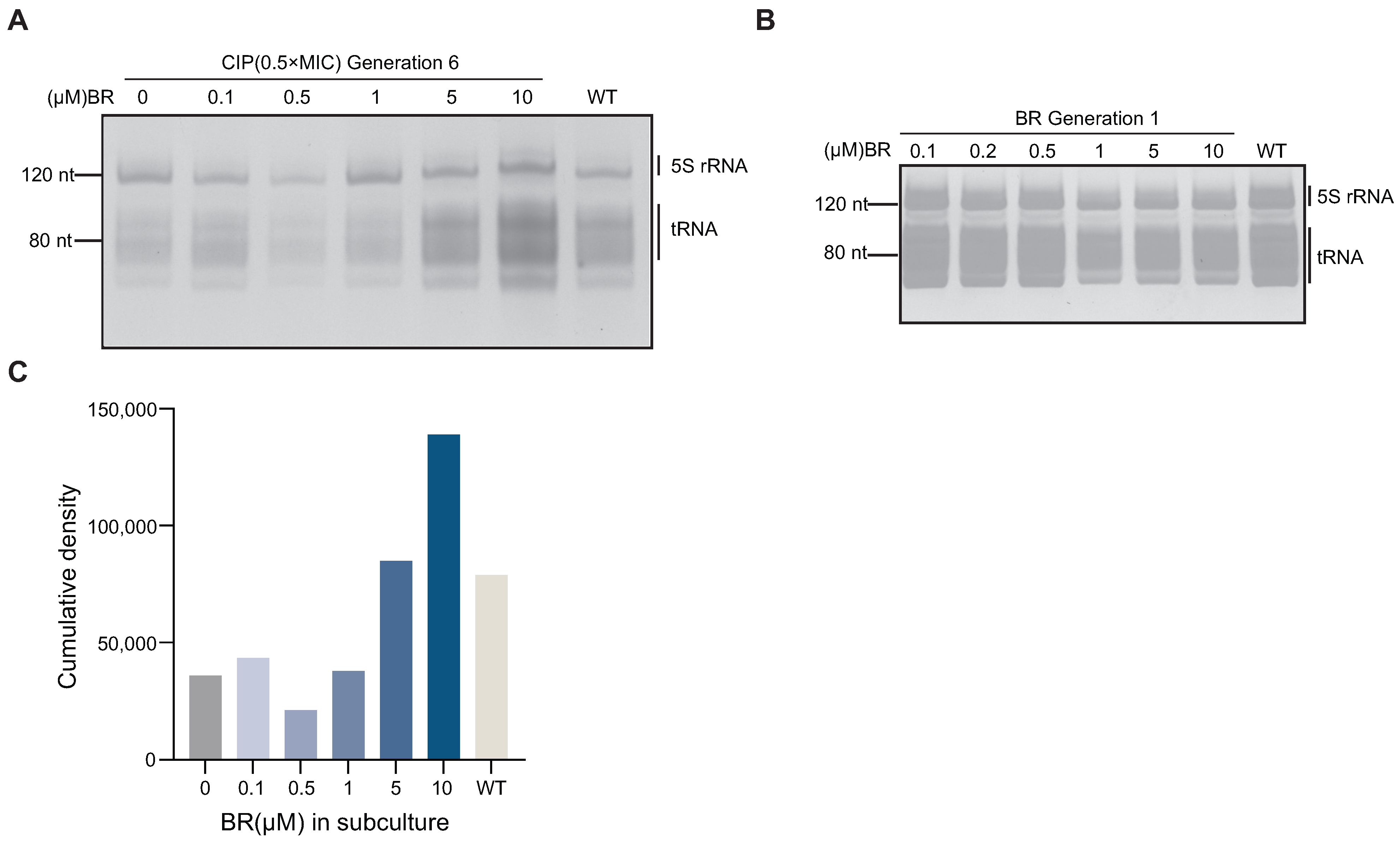 Microorganisms 13 02087 g005