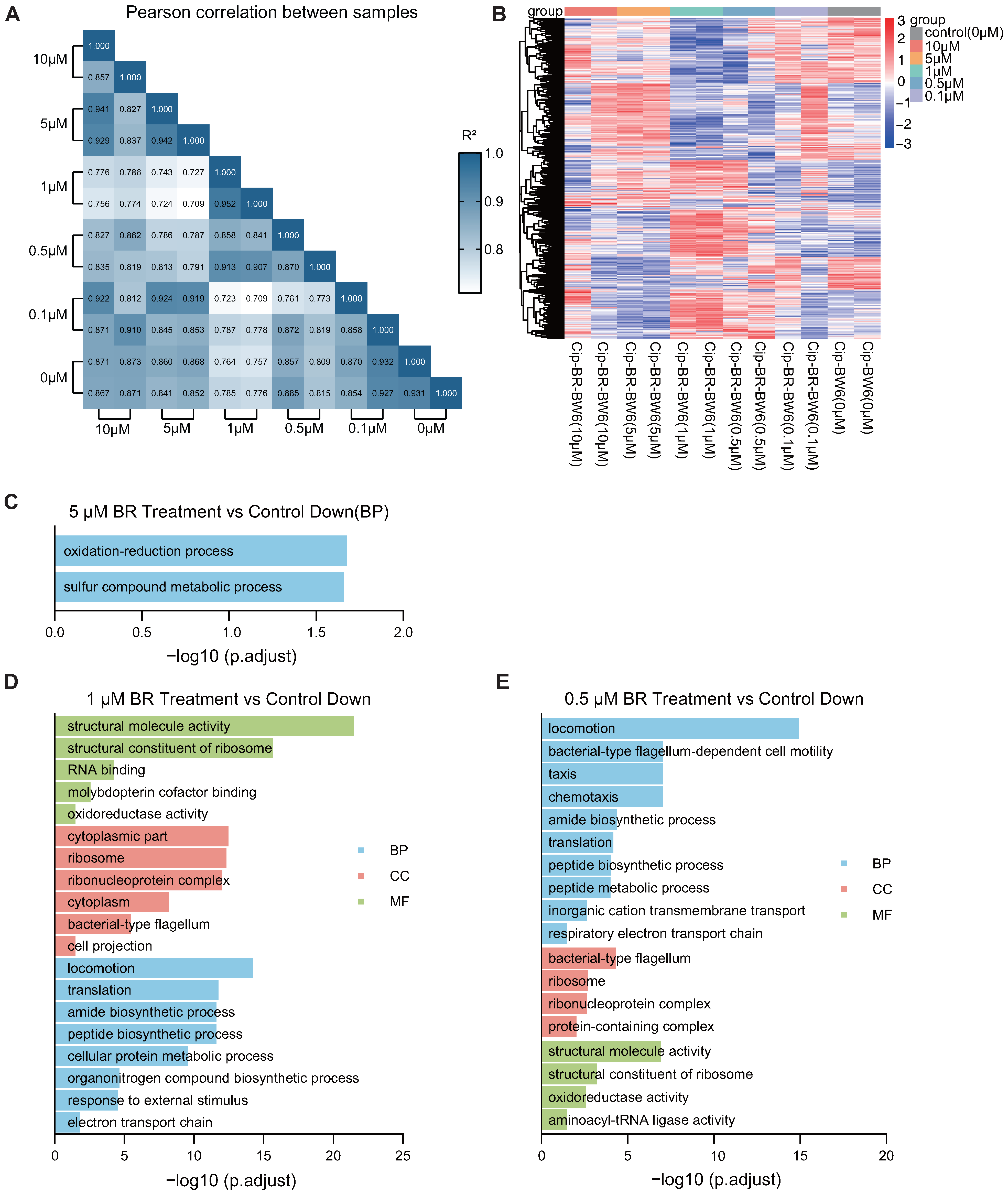 Microorganisms 13 02087 g006