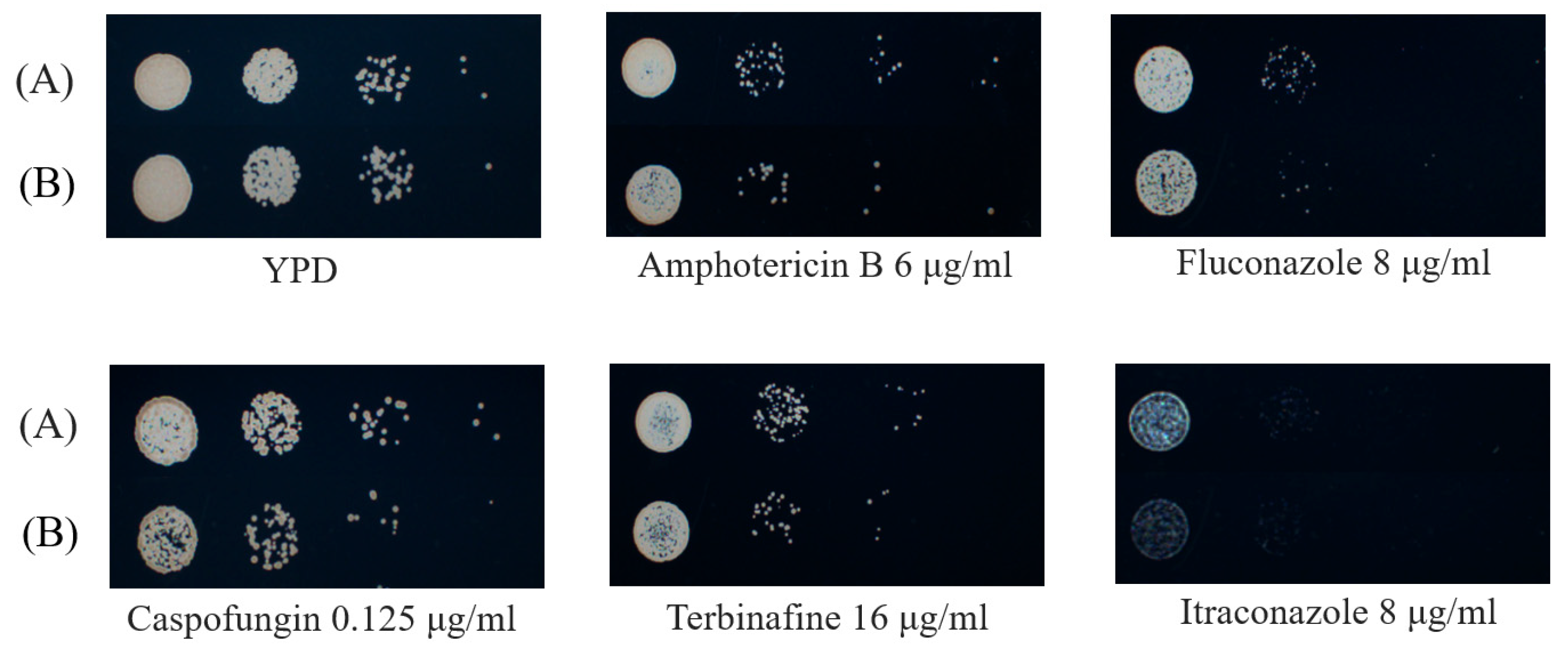 Microorganisms 13 02093 g007 Microorganisms 13 02093 g007
