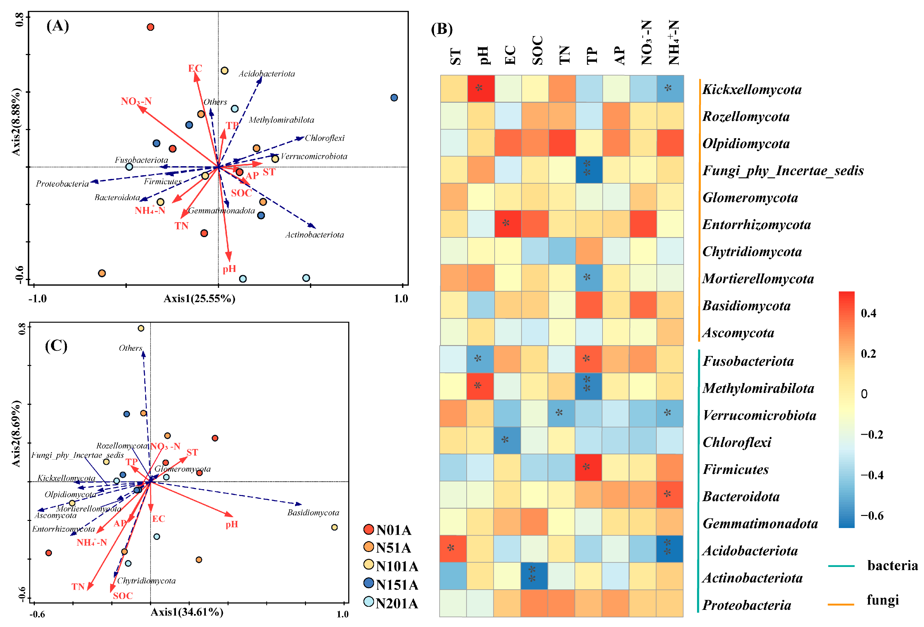 Microorganisms 13 02098 g007 Microorganisms 13 02098 g007