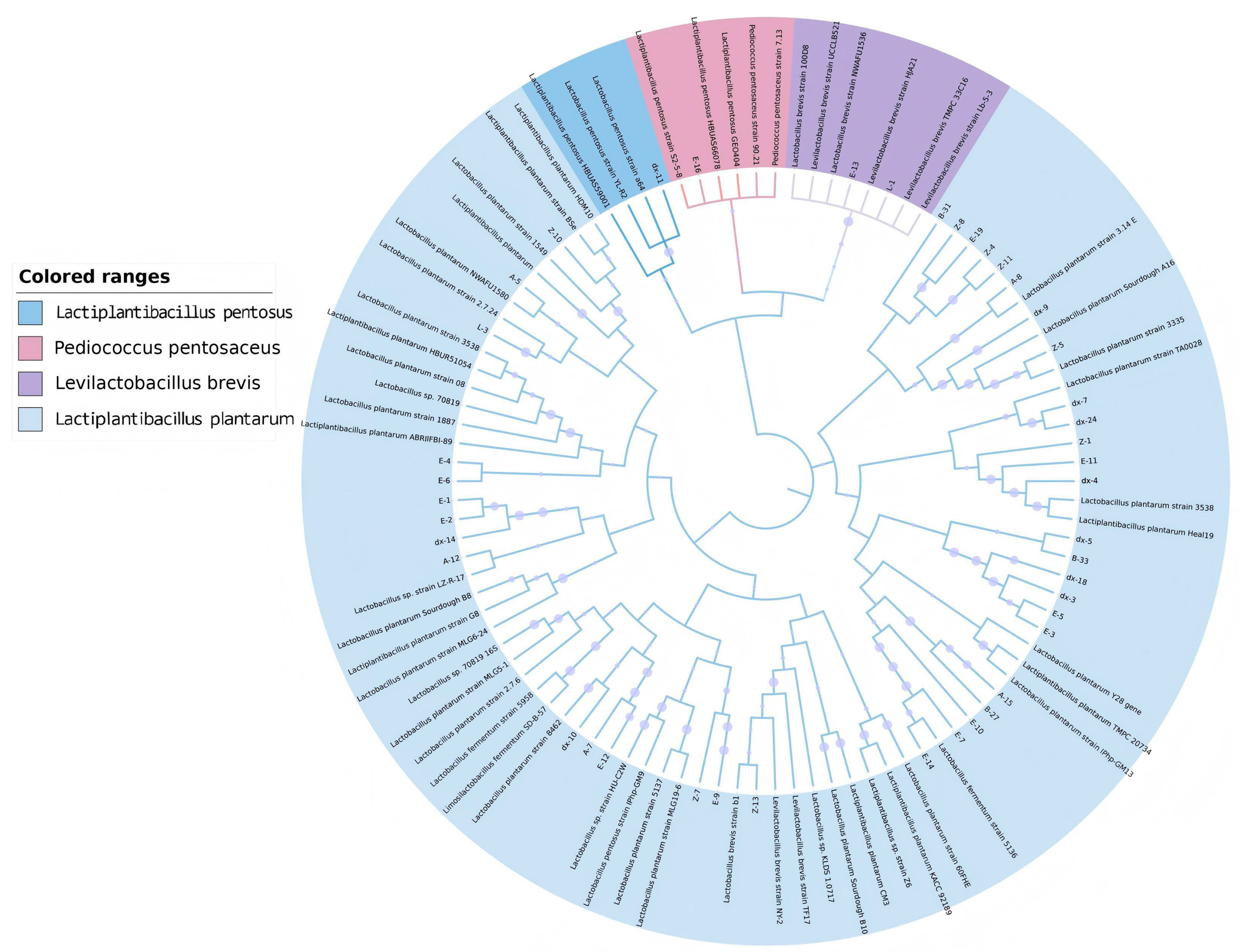 Microorganisms 13 02104 g001 Microorganisms 13 02104 g001