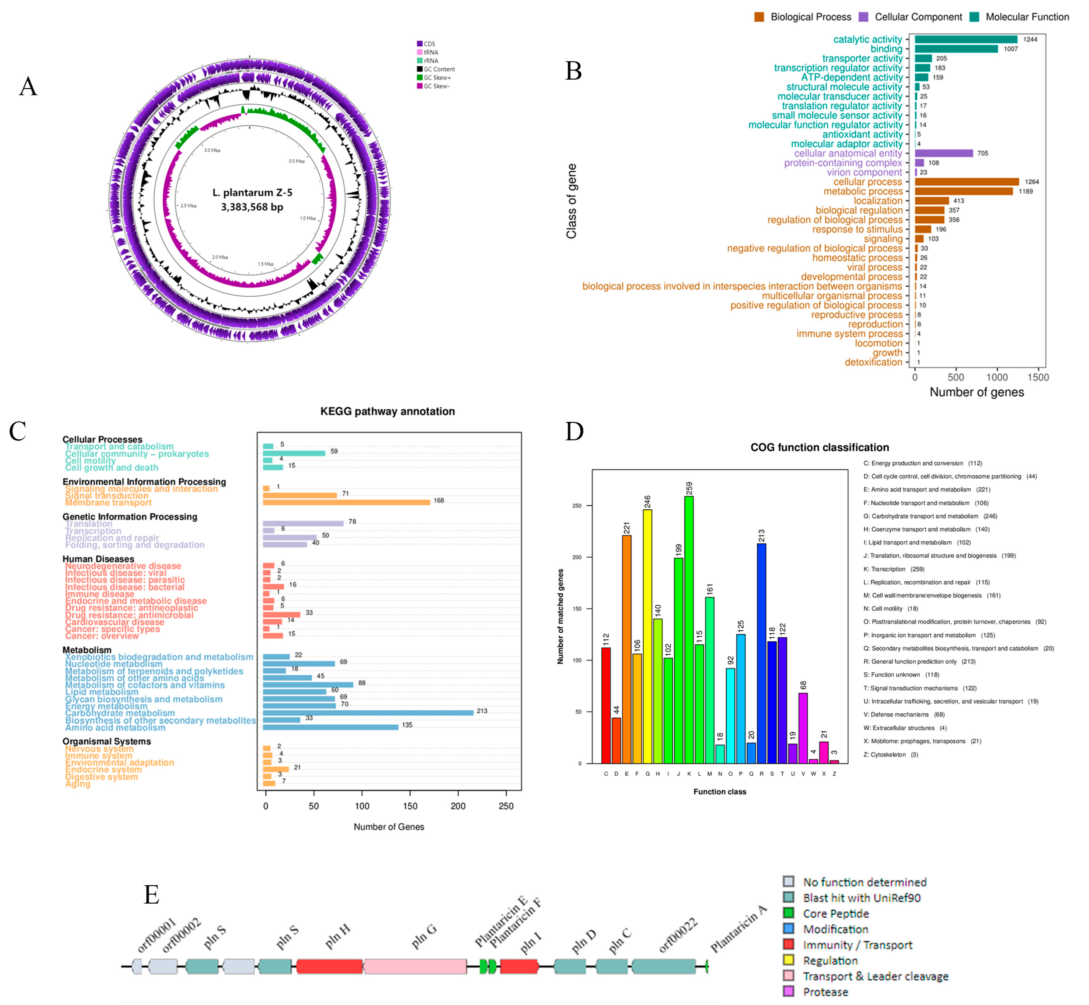 Microorganisms 13 02104 g005 Microorganisms 13 02104 g005