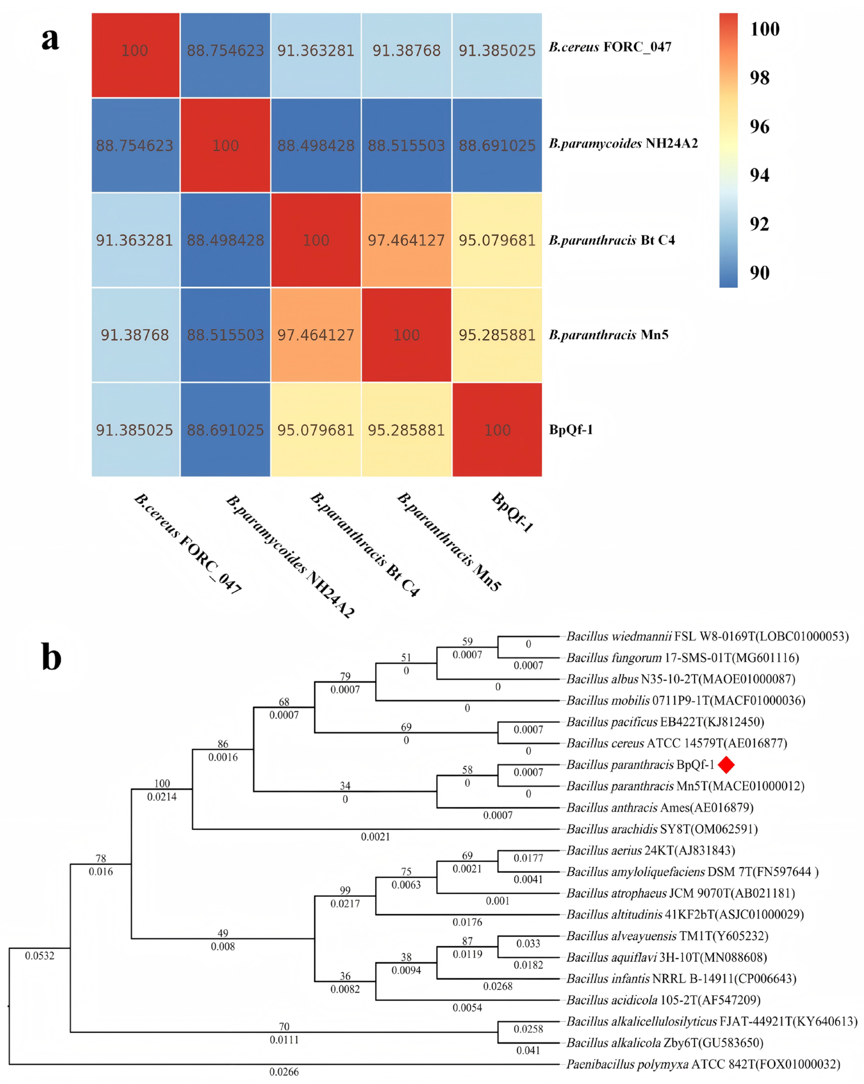 Microorganisms 13 02106 g003 Microorganisms 13 02106 g003