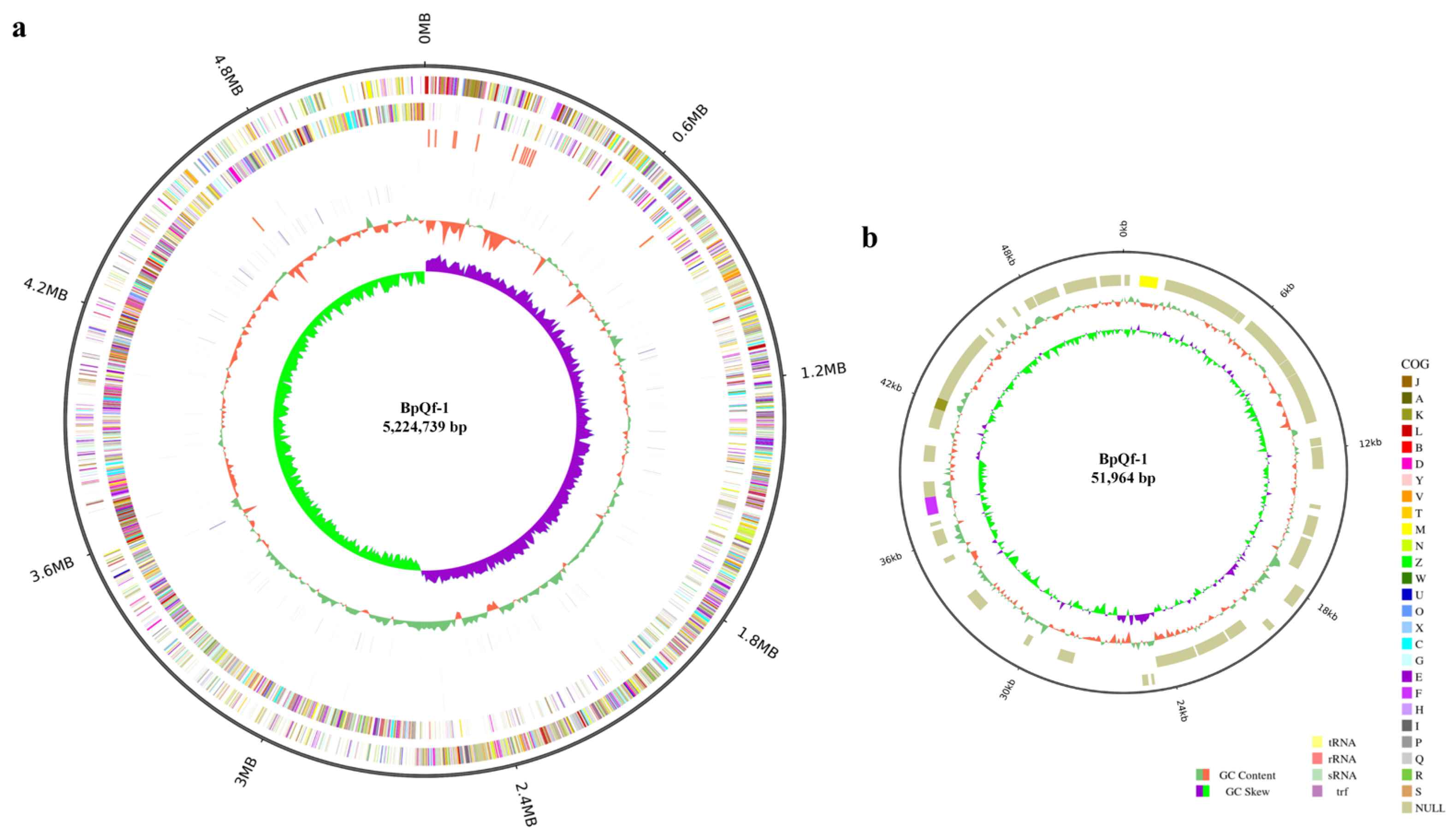 Microorganisms 13 02106 g004 Microorganisms 13 02106 g004