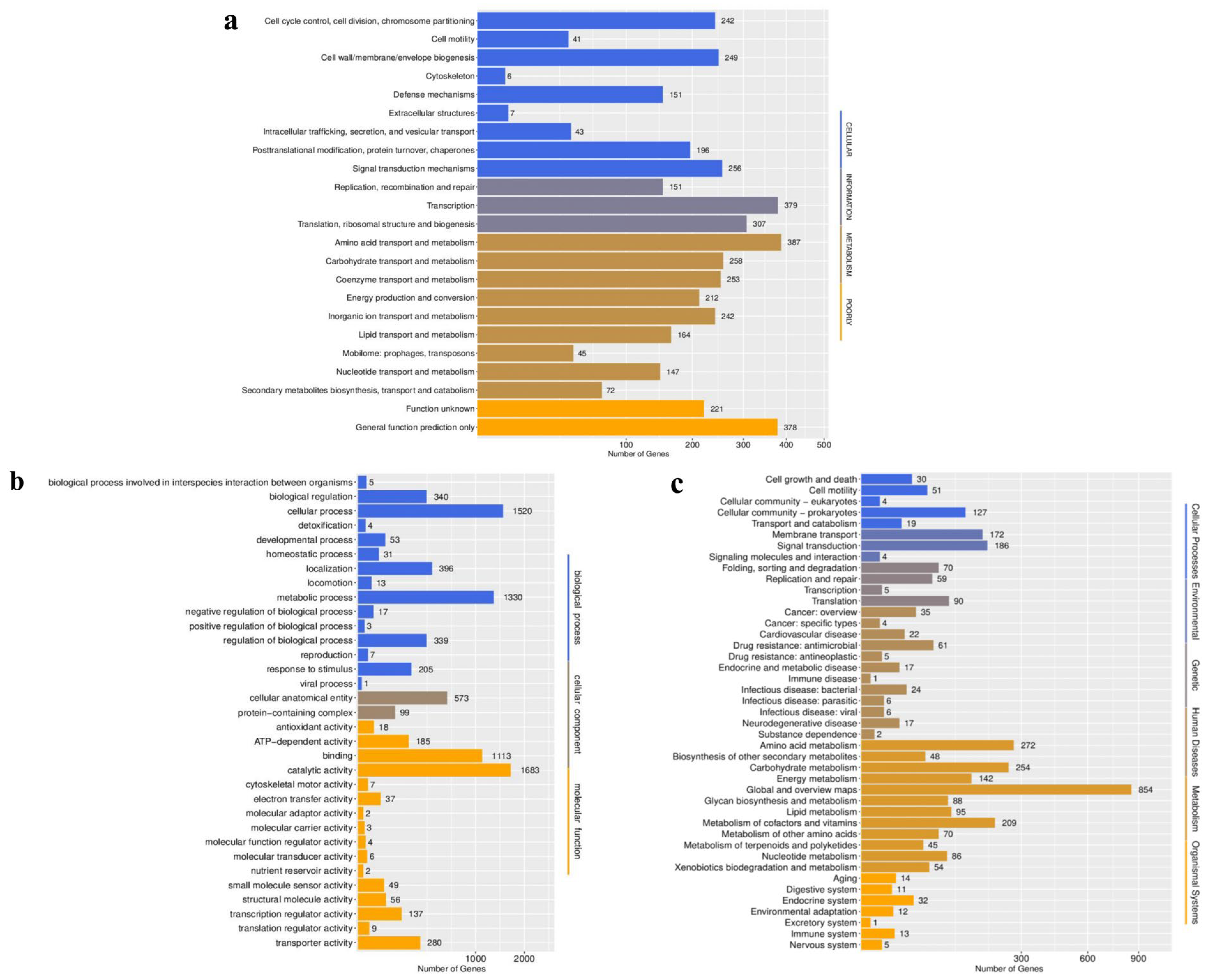 Microorganisms 13 02106 g005 Microorganisms 13 02106 g005