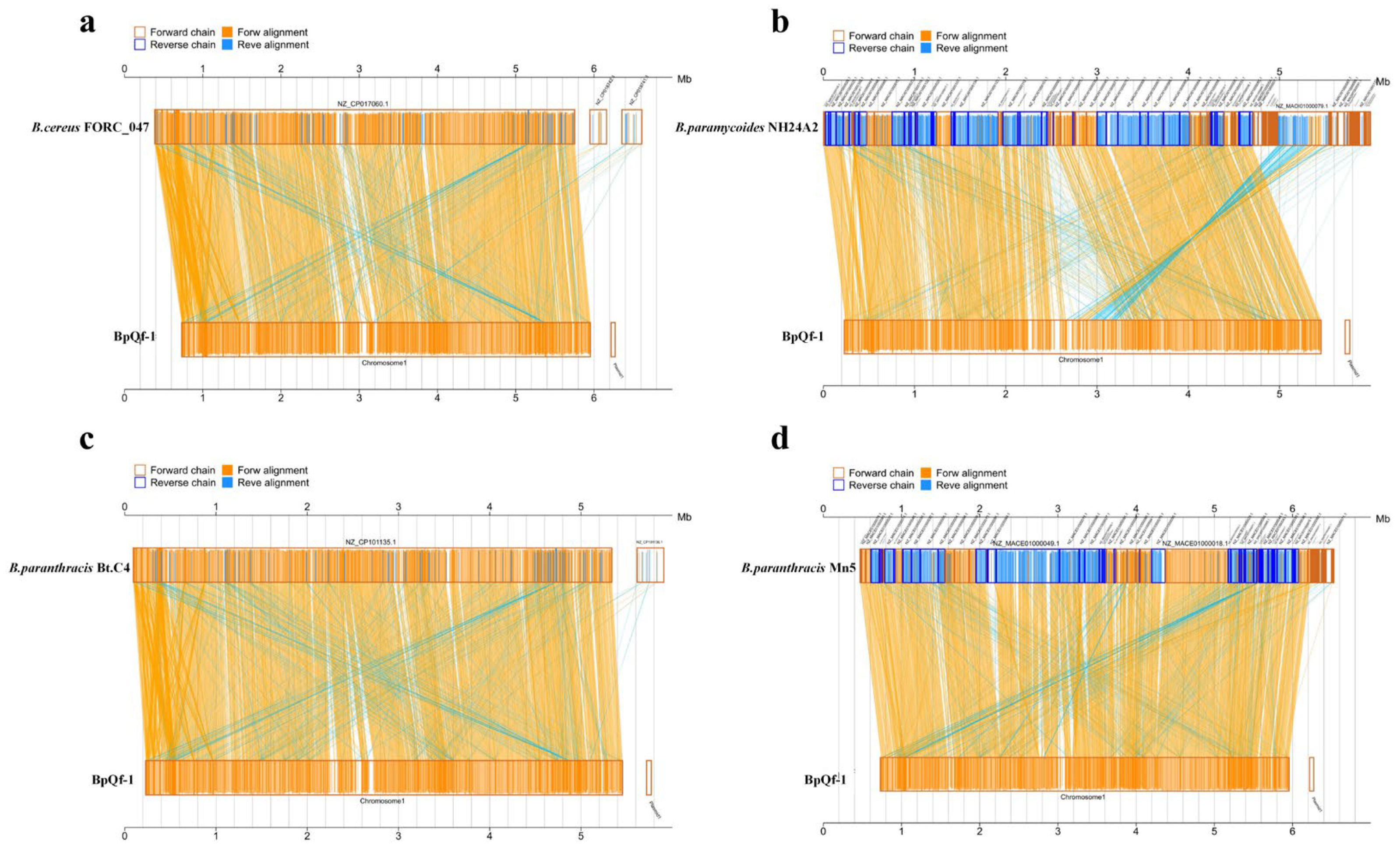 Microorganisms 13 02106 g006 Microorganisms 13 02106 g006