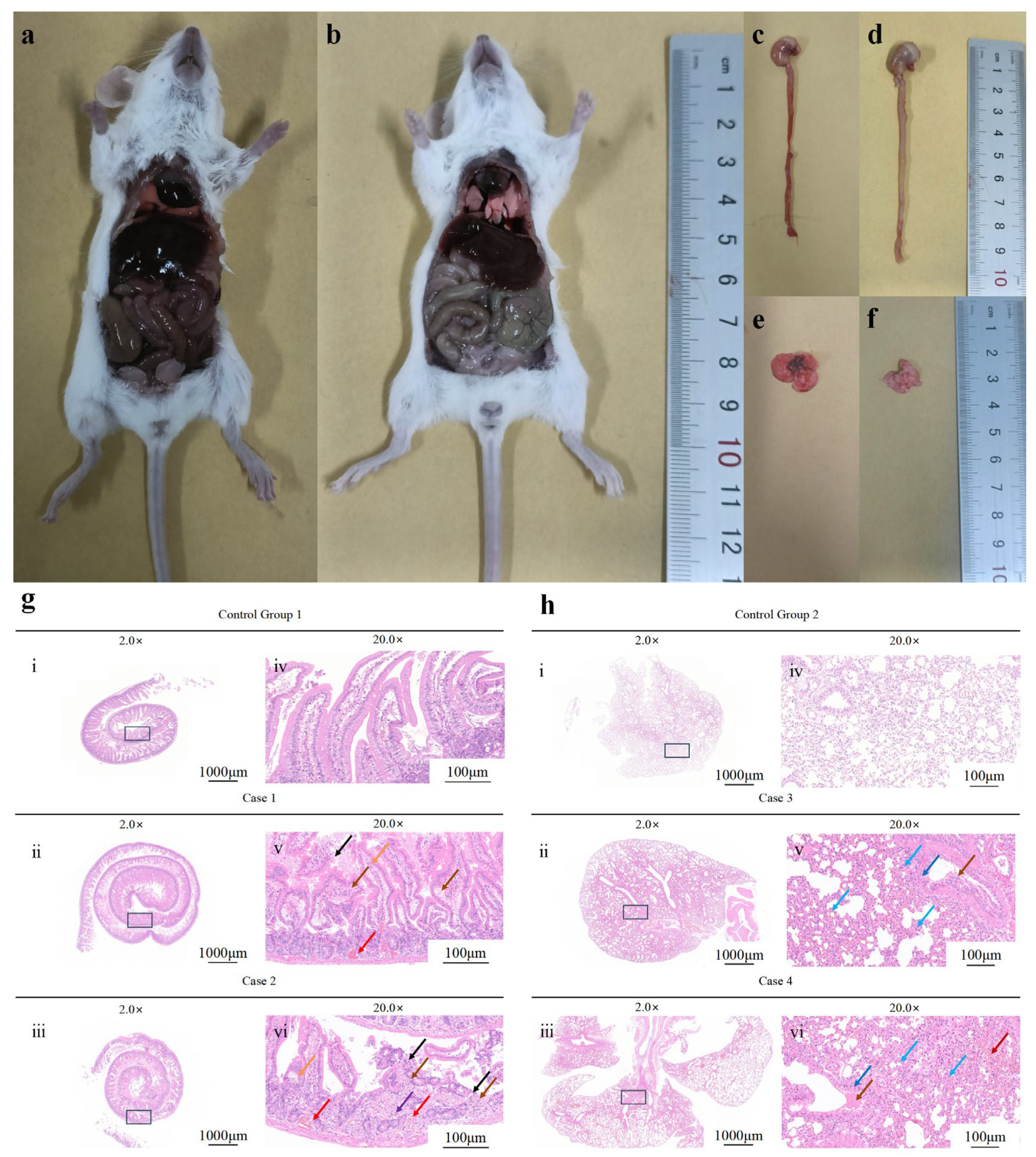 Microorganisms 13 02106 g008 Microorganisms 13 02106 g008