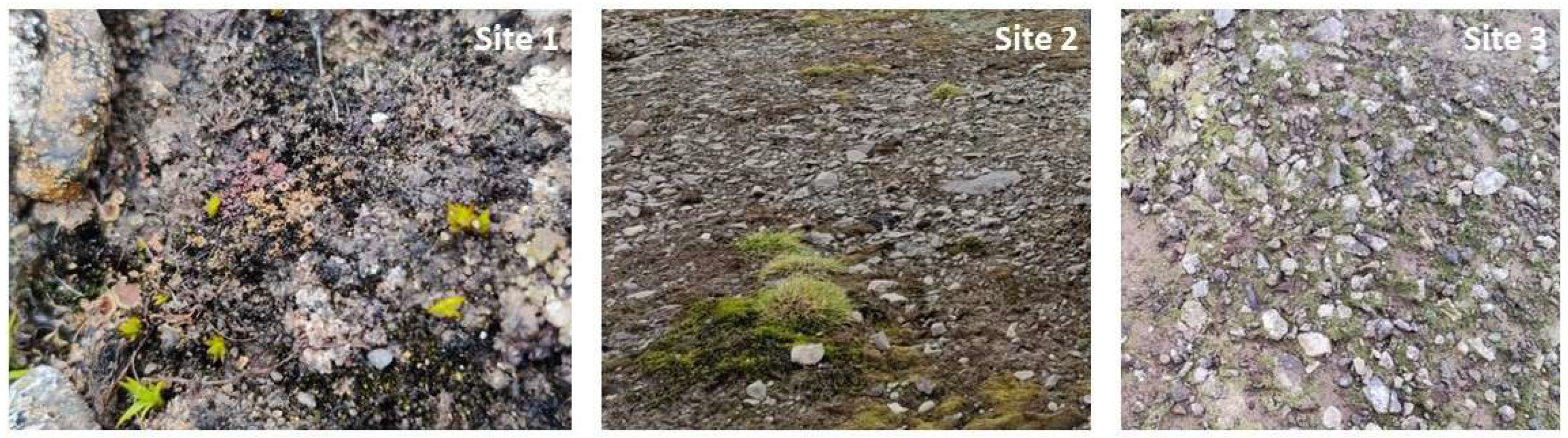 Microorganisms 13 02108 g001 Microorganisms 13 02108 g001