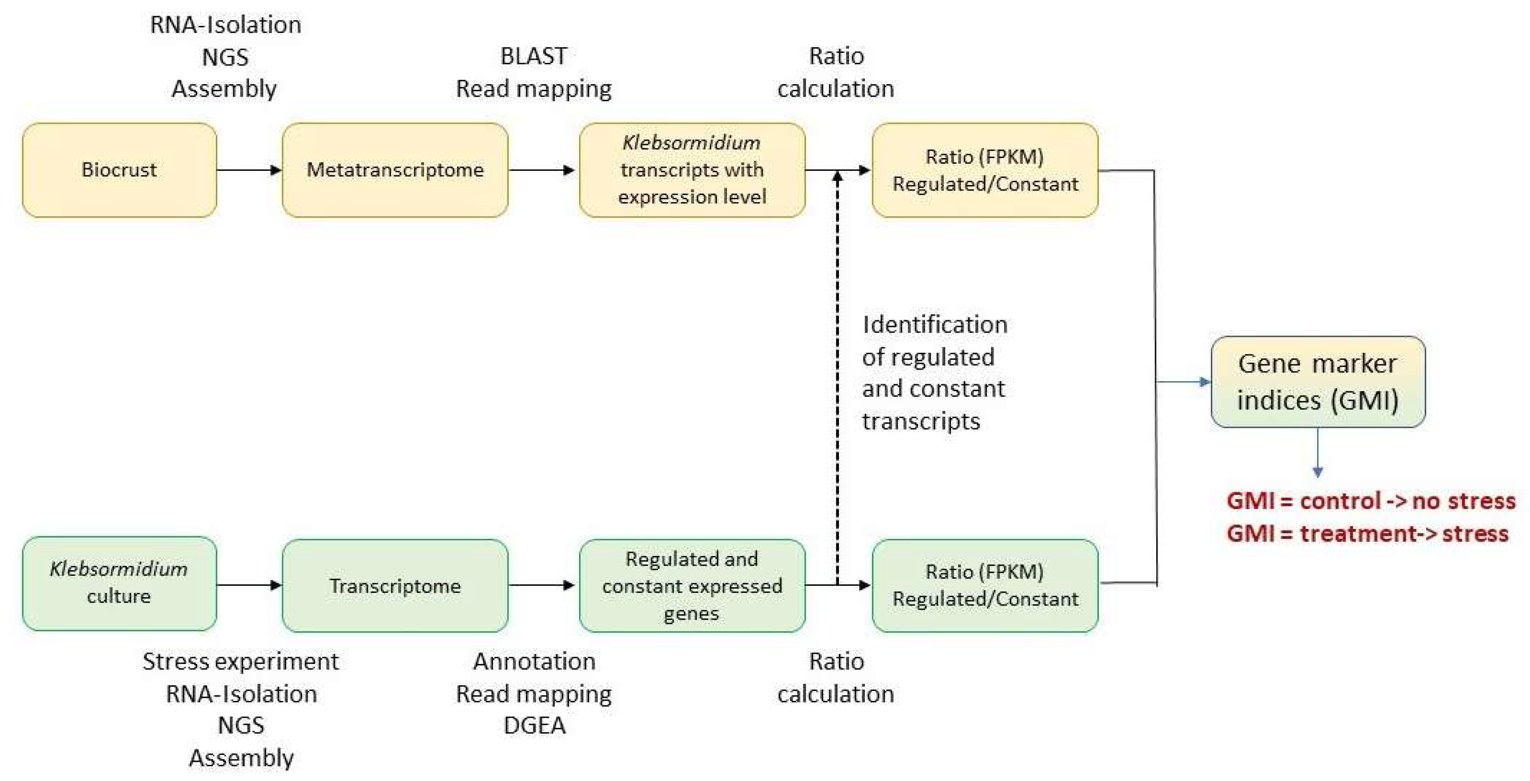 Microorganisms 13 02108 g002 Microorganisms 13 02108 g002