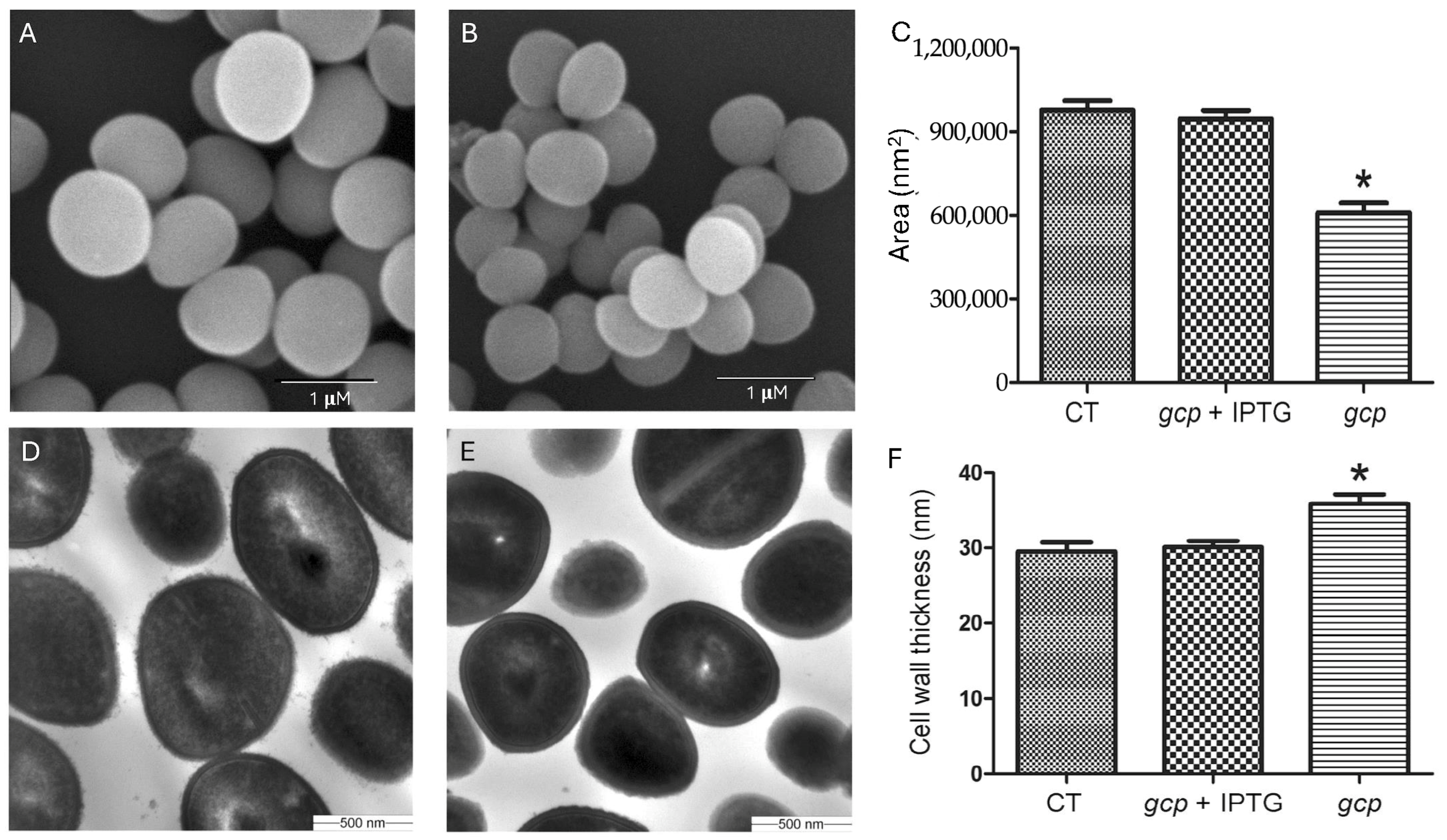 Microorganisms 13 02111 g001